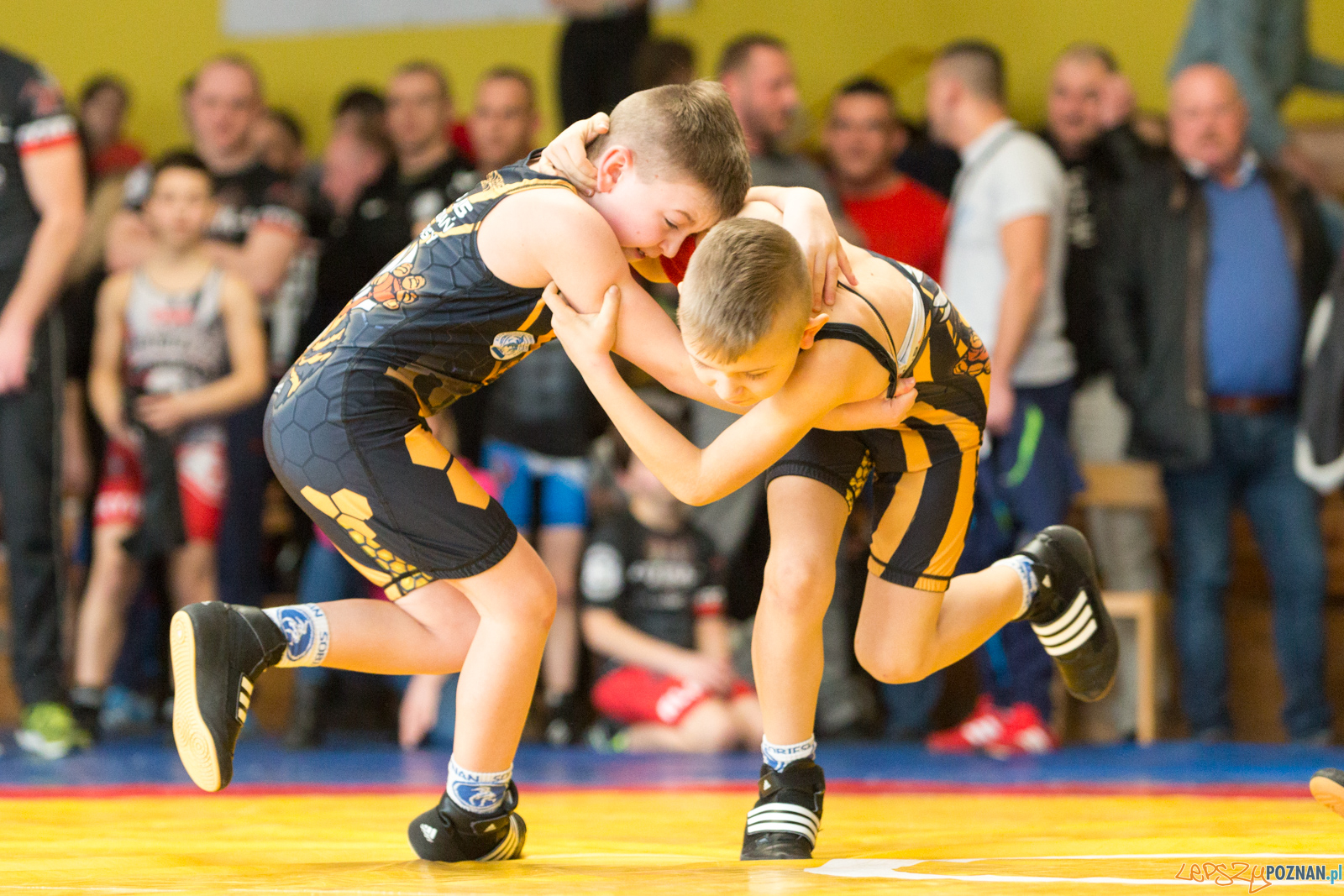 VI Memoriał Bogdana Brody - Otwarte Mistrzostwa Miasta Poznania Foto: lepszyPOZNAN.pl/Piotr Rychter VI Memoriał Bogdana Brody - Otwarte Mistrzostwa Miasta Poznania Foto: lepszyPOZNAN.pl/Piotr Rychter