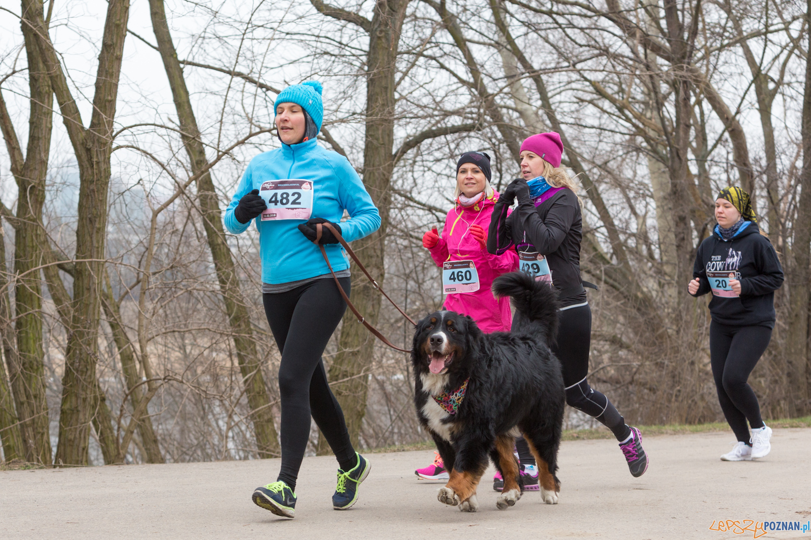 V Bieg Czekoladowy Foto: lepszyPOZNAN.pl/Piotr Rychter V Bieg Czekoladowy Foto: lepszyPOZNAN.pl/Piotr Rychter