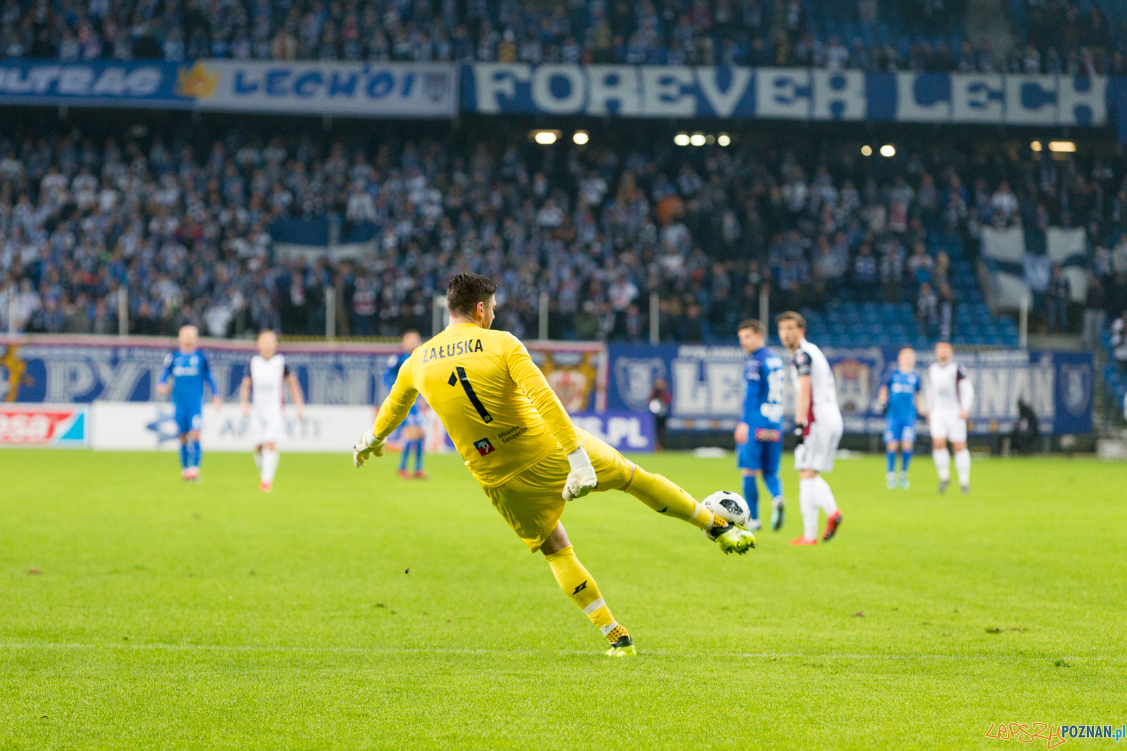 Lech Poznań - Pogoń Szczecin ( Łukasz Załuska) Foto: lepszyPOZNAN.pl/Piotr Rychter Lech Poznań - Pogoń Szczecin ( Łukasz Załuska) Foto: lepszyPOZNAN.pl/Piotr Rychter