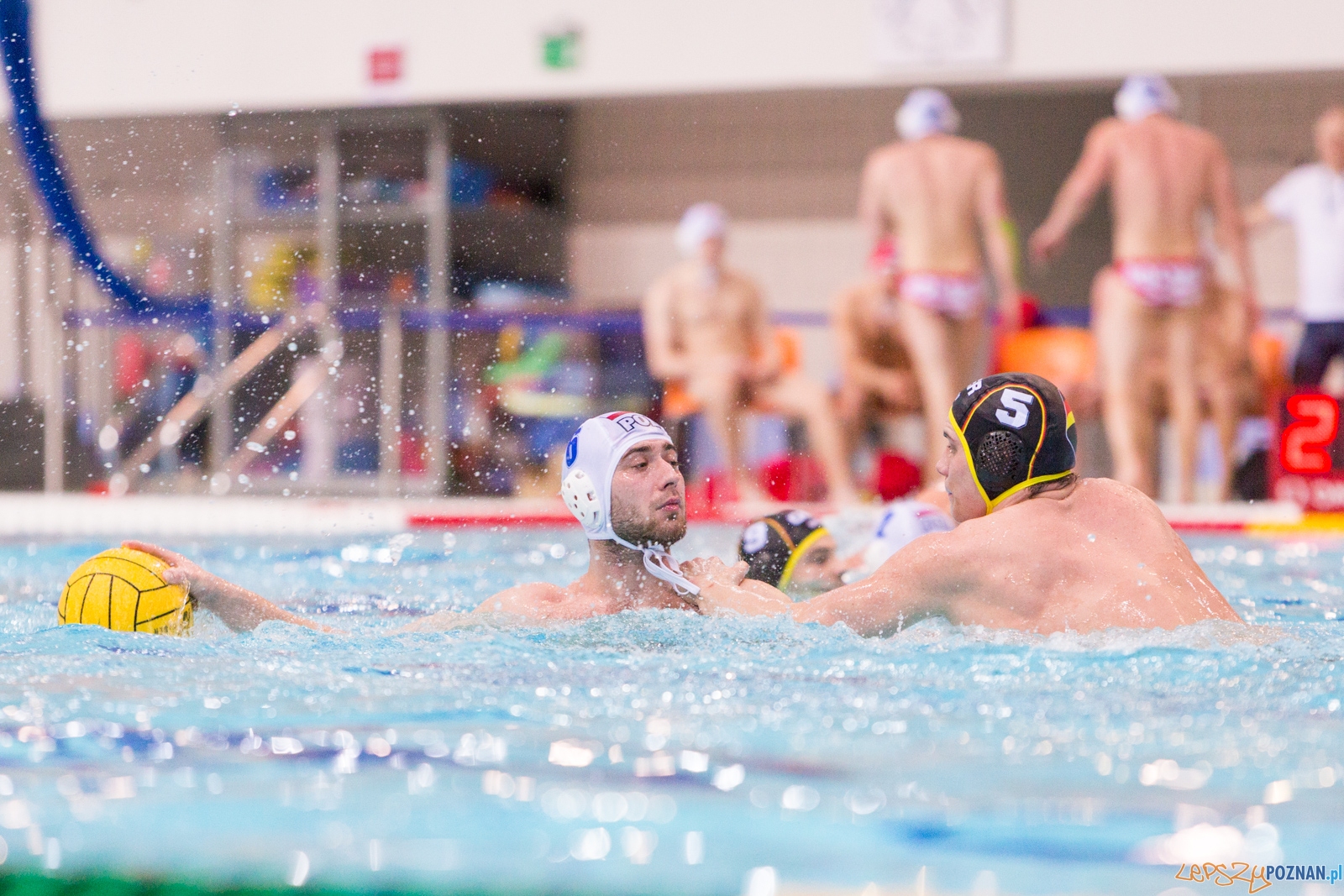 Mecz Polska - Niemcy - Eliminacje Mistrzostw Europy Foto: lepszyPOZNAN.pl/Piotr Rychter Mecz Polska - Niemcy - Eliminacje Mistrzostw Europy Foto: lepszyPOZNAN.pl/Piotr Rychter