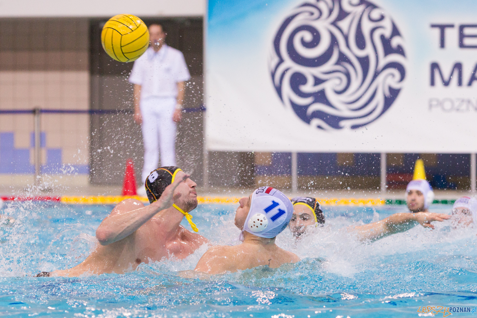 Mecz Polska - Niemcy - Eliminacje Mistrzostw Europy Foto: lepszyPOZNAN.pl/Piotr Rychter Mecz Polska - Niemcy - Eliminacje Mistrzostw Europy Foto: lepszyPOZNAN.pl/Piotr Rychter