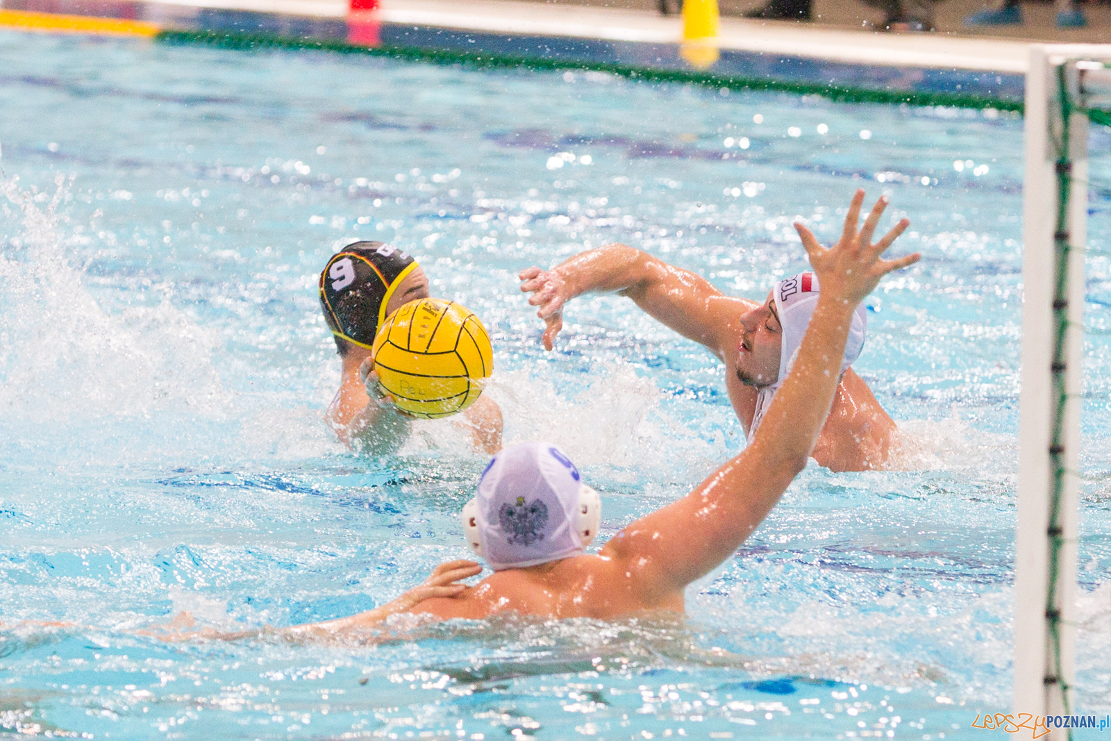 Mecz Polska - Niemcy - Eliminacje Mistrzostw Europy Foto: lepszyPOZNAN.pl/Piotr Rychter Mecz Polska - Niemcy - Eliminacje Mistrzostw Europy Foto: lepszyPOZNAN.pl/Piotr Rychter