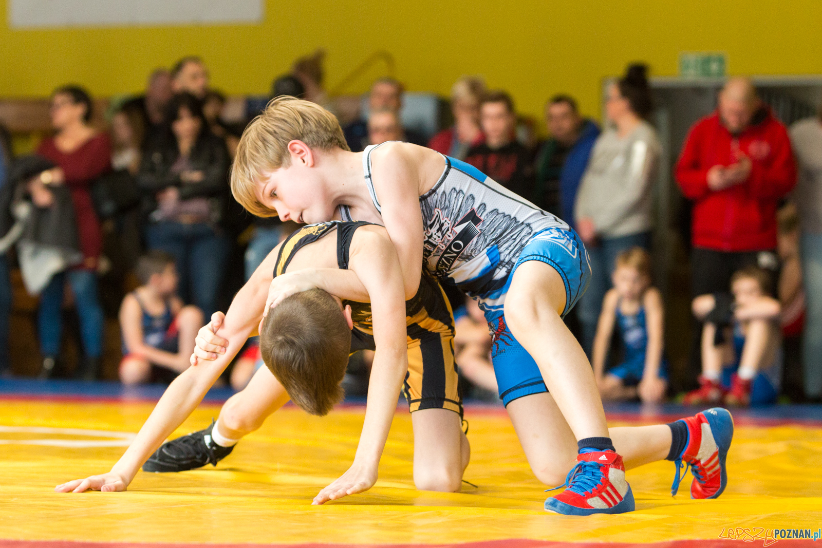 VI Memoriał Bogdana Brody - Otwarte Mistrzostwa Miasta Poznania Foto: lepszyPOZNAN.pl/Piotr Rychter VI Memoriał Bogdana Brody - Otwarte Mistrzostwa Miasta Poznania Foto: lepszyPOZNAN.pl/Piotr Rychter