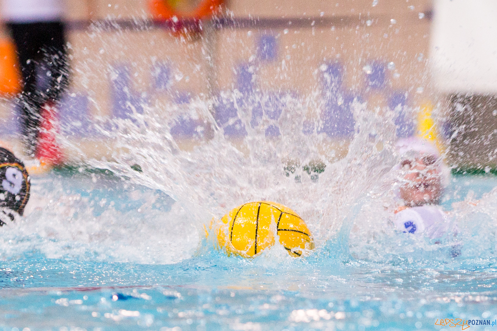 Mecz Polska - Niemcy - Eliminacje Mistrzostw Europy Foto: Mecz Polska - Niemcy - Eliminacje Mistrzostw Europy Foto: