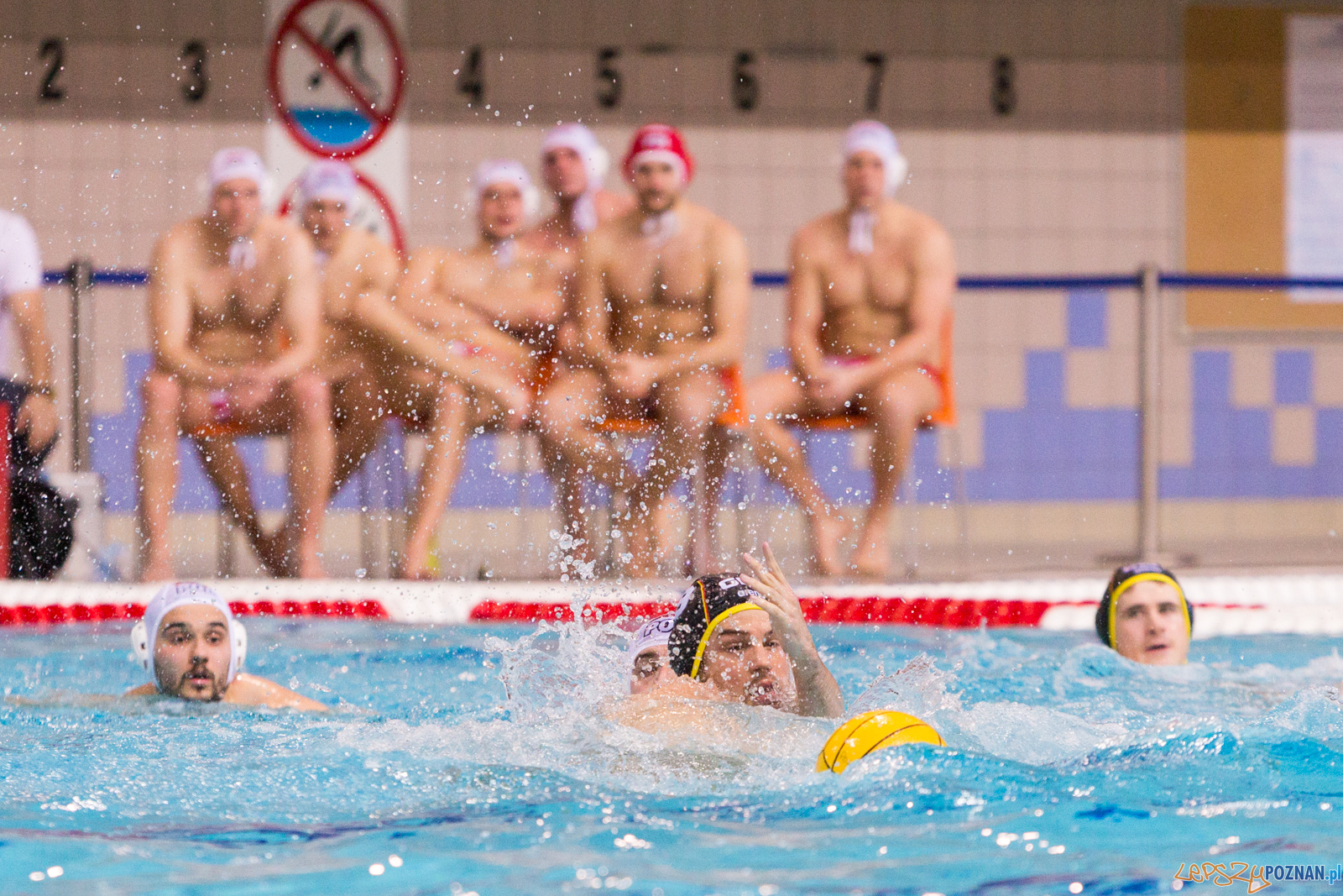 Mecz Polska - Niemcy - Eliminacje Mistrzostw Europy Foto: lepszyPOZNAN.pl/Piotr Rychter Mecz Polska - Niemcy - Eliminacje Mistrzostw Europy Foto: lepszyPOZNAN.pl/Piotr Rychter