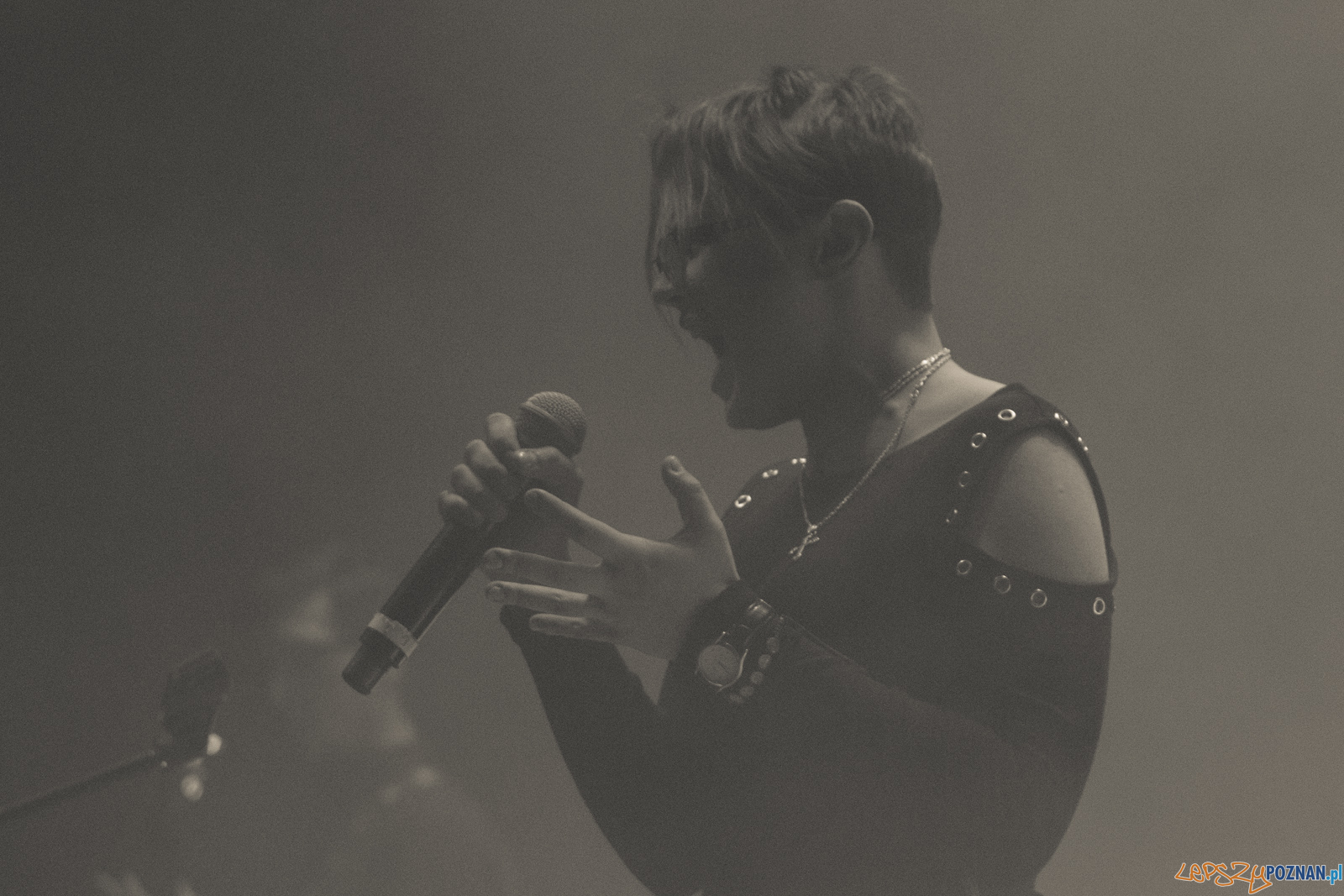 Gramy u siebie Foto: lepszyPOZNAN.pl / Ewelina Jaskowiak Gramy u siebie Foto: lepszyPOZNAN.pl / Ewelina Jaskowiak