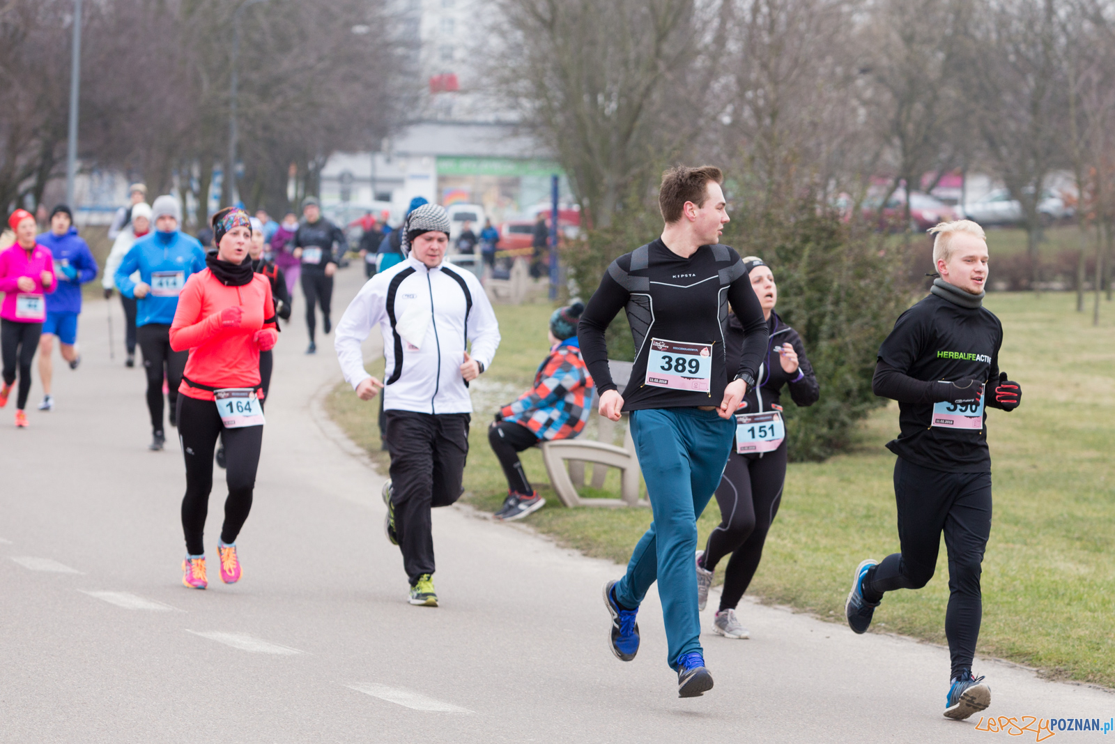 V Bieg Czekoladowy Foto: lepszyPOZNAN.pl/Piotr Rychter V Bieg Czekoladowy Foto: lepszyPOZNAN.pl/Piotr Rychter