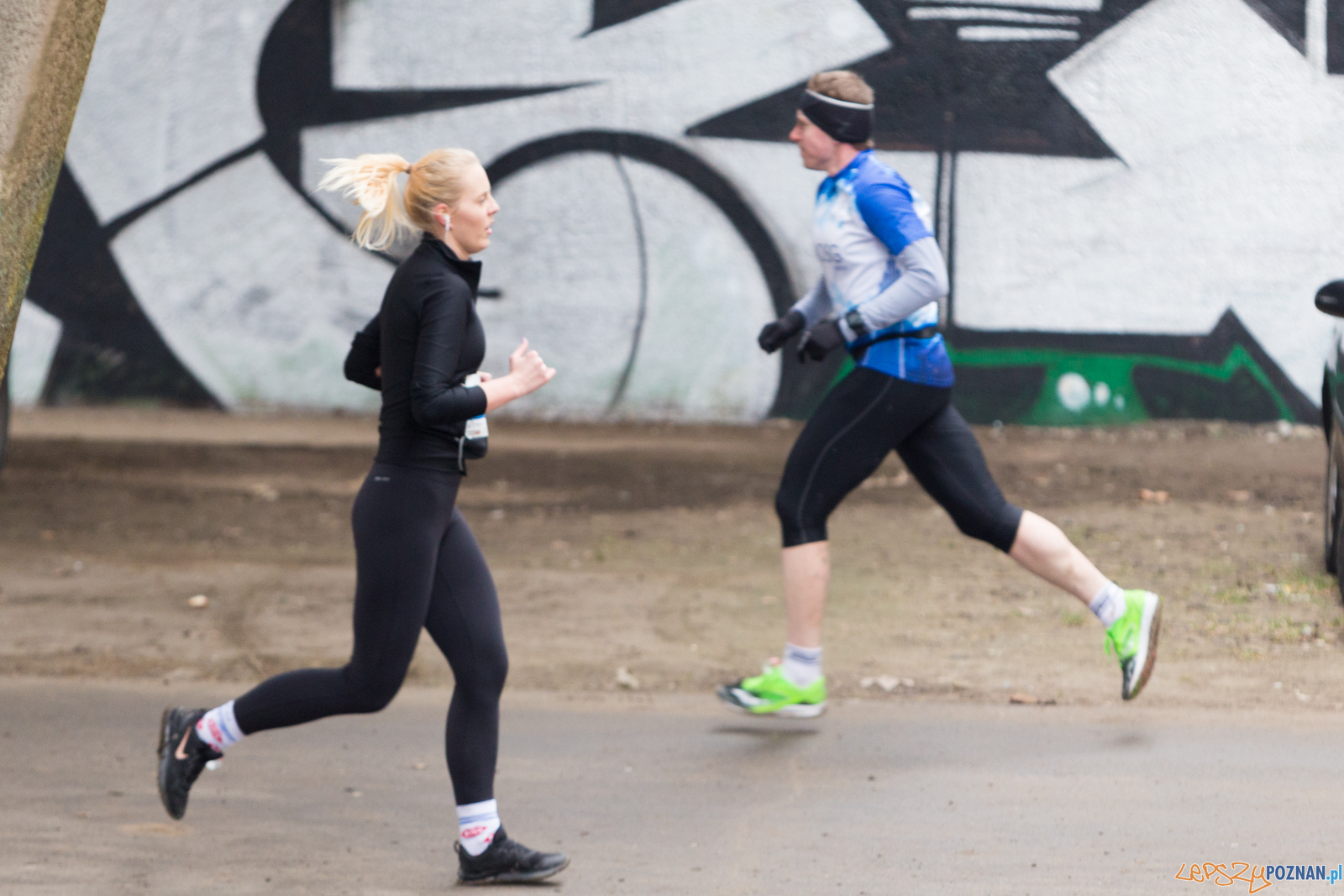 VIII Wildecka Dziesiątka Foto: lepszyPOZNAN.pl/Piotr Rychter VIII Wildecka Dziesiątka Foto: lepszyPOZNAN.pl/Piotr Rychter