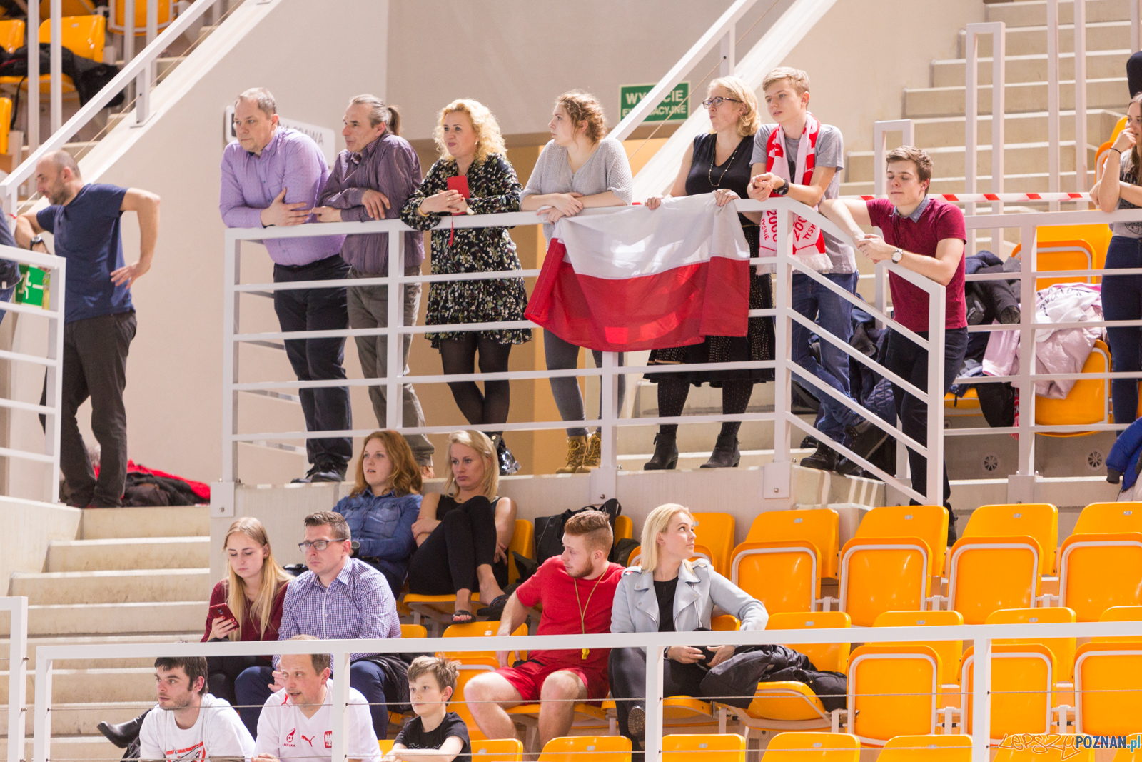 Mecz Polska - Niemcy - Eliminacje Mistrzostw Europy Foto: lepszyPOZNAN.pl/Piotr Rychter Mecz Polska - Niemcy - Eliminacje Mistrzostw Europy Foto: lepszyPOZNAN.pl/Piotr Rychter