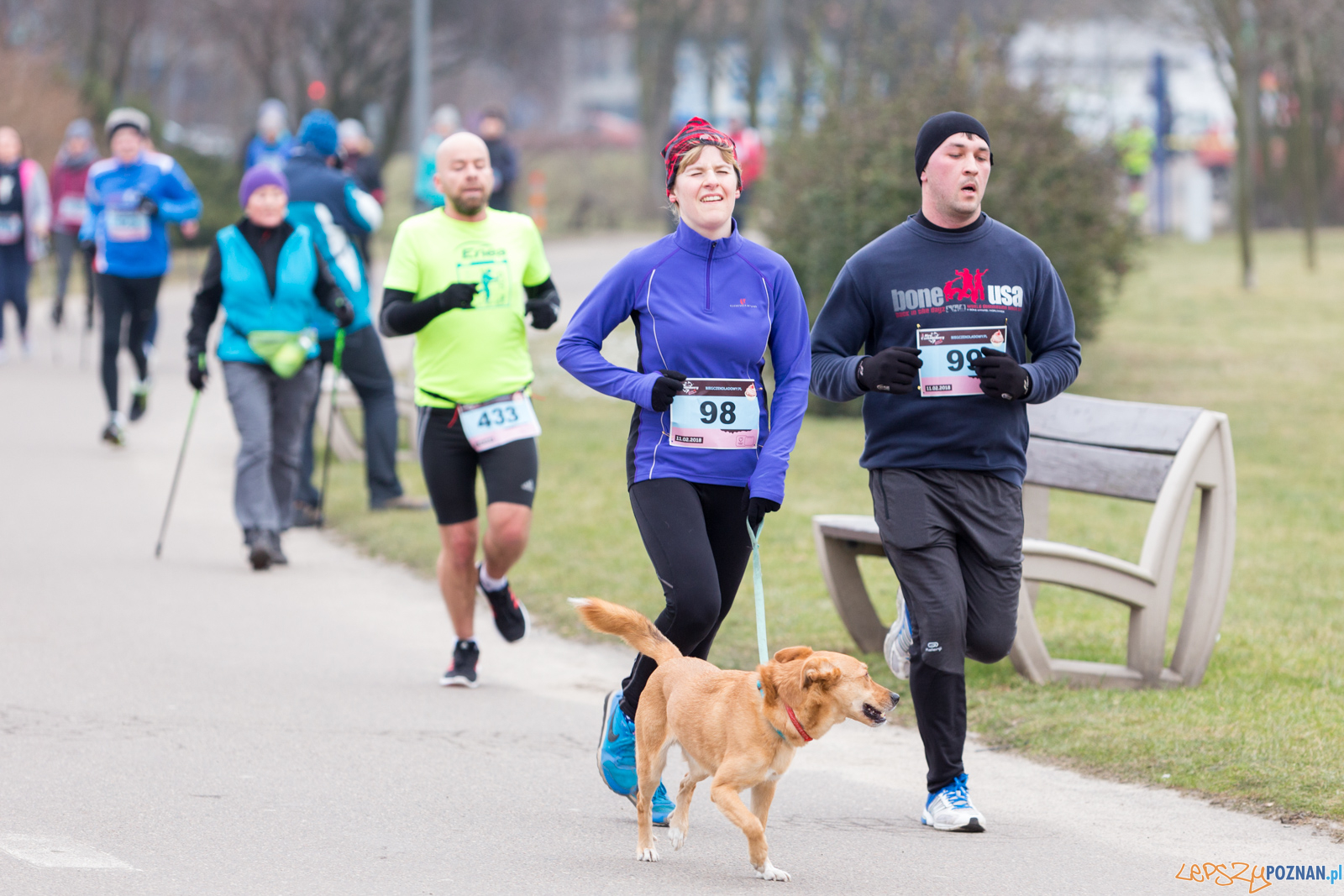 V Bieg Czekoladowy Foto: lepszyPOZNAN.pl/Piotr Rychter V Bieg Czekoladowy Foto: lepszyPOZNAN.pl/Piotr Rychter