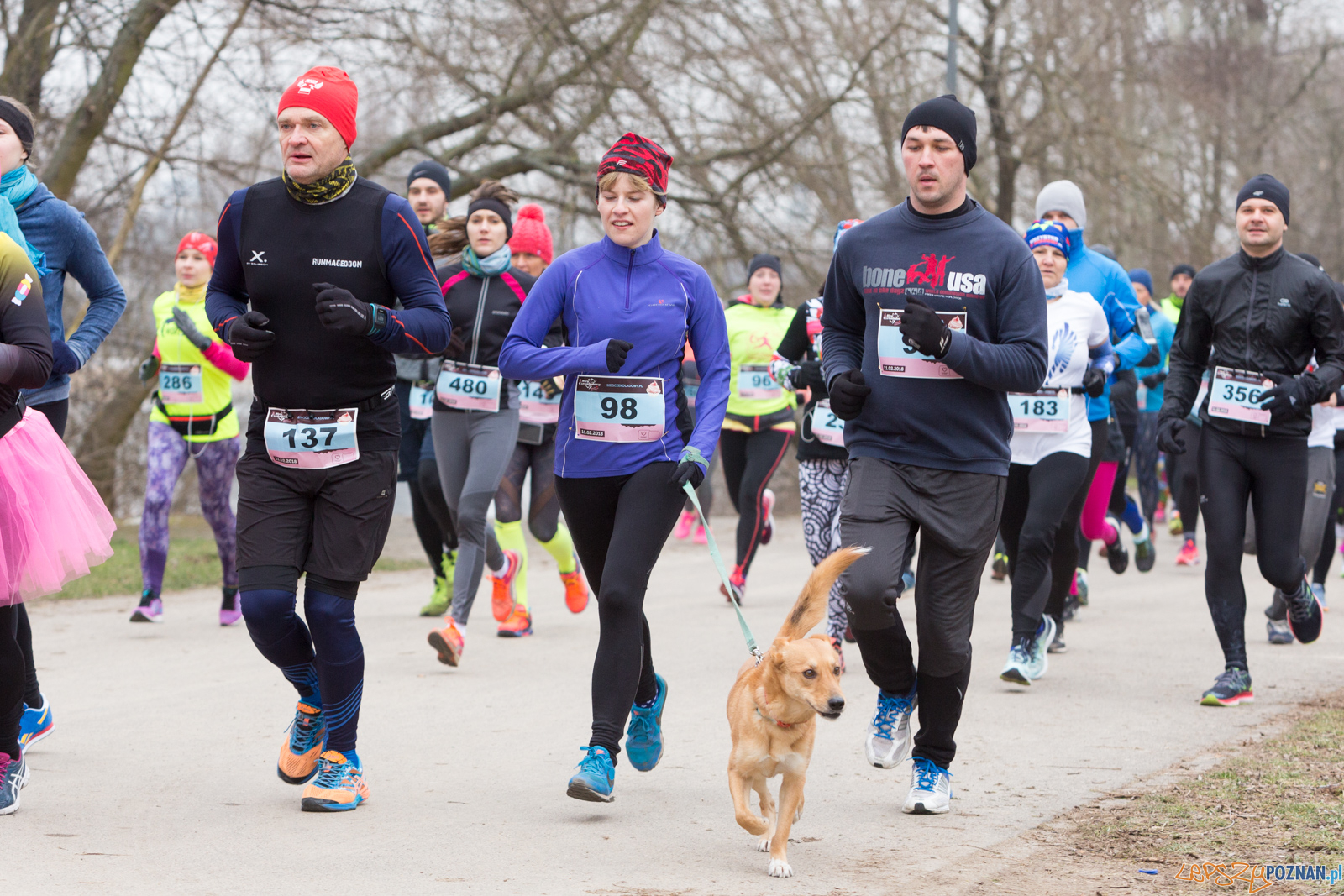 V Bieg Czekoladowy Foto: lepszyPOZNAN.pl/Piotr Rychter V Bieg Czekoladowy Foto: lepszyPOZNAN.pl/Piotr Rychter