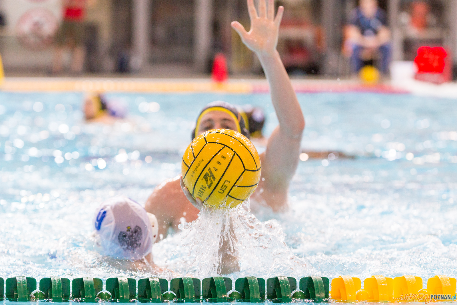 Mecz Polska - Niemcy - Eliminacje Mistrzostw Europy Foto: lepszyPOZNAN.pl/Piotr Rychter Mecz Polska - Niemcy - Eliminacje Mistrzostw Europy Foto: lepszyPOZNAN.pl/Piotr Rychter