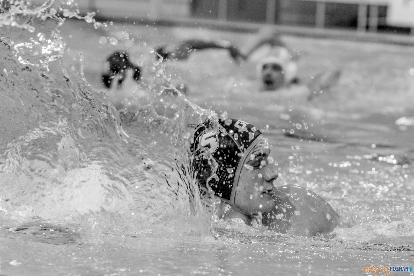 Mecz Polska - Niemcy - Eliminacje Mistrzostw Europy Foto: lepszyPOZNAN.pl / Ewelina Jaskowiak Mecz Polska - Niemcy - Eliminacje Mistrzostw Europy Foto: lepszyPOZNAN.pl / Ewelina Jaskowiak