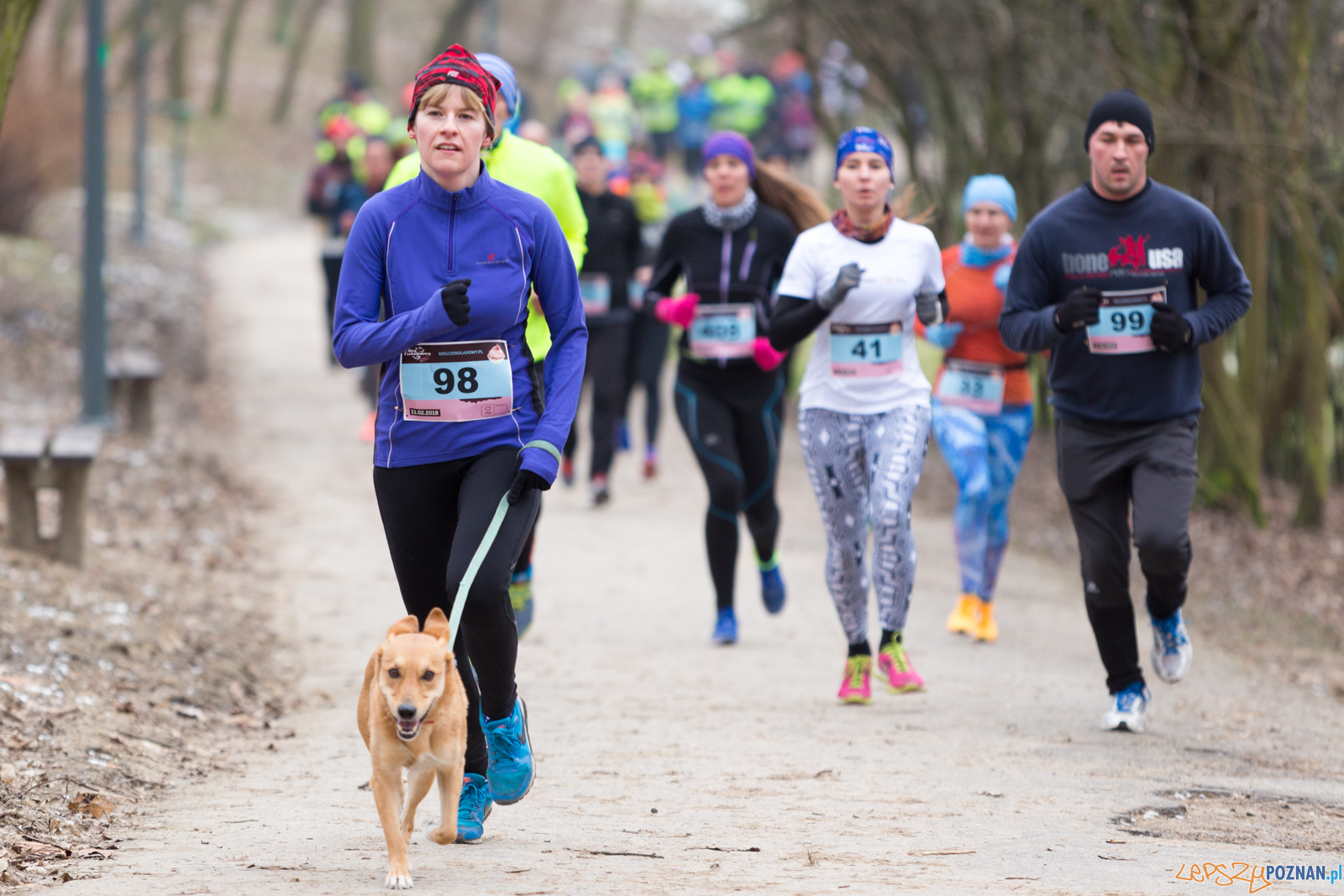 V Bieg Czekoladowy Foto: lepszyPOZNAN.pl/Piotr Rychter V Bieg Czekoladowy Foto: lepszyPOZNAN.pl/Piotr Rychter