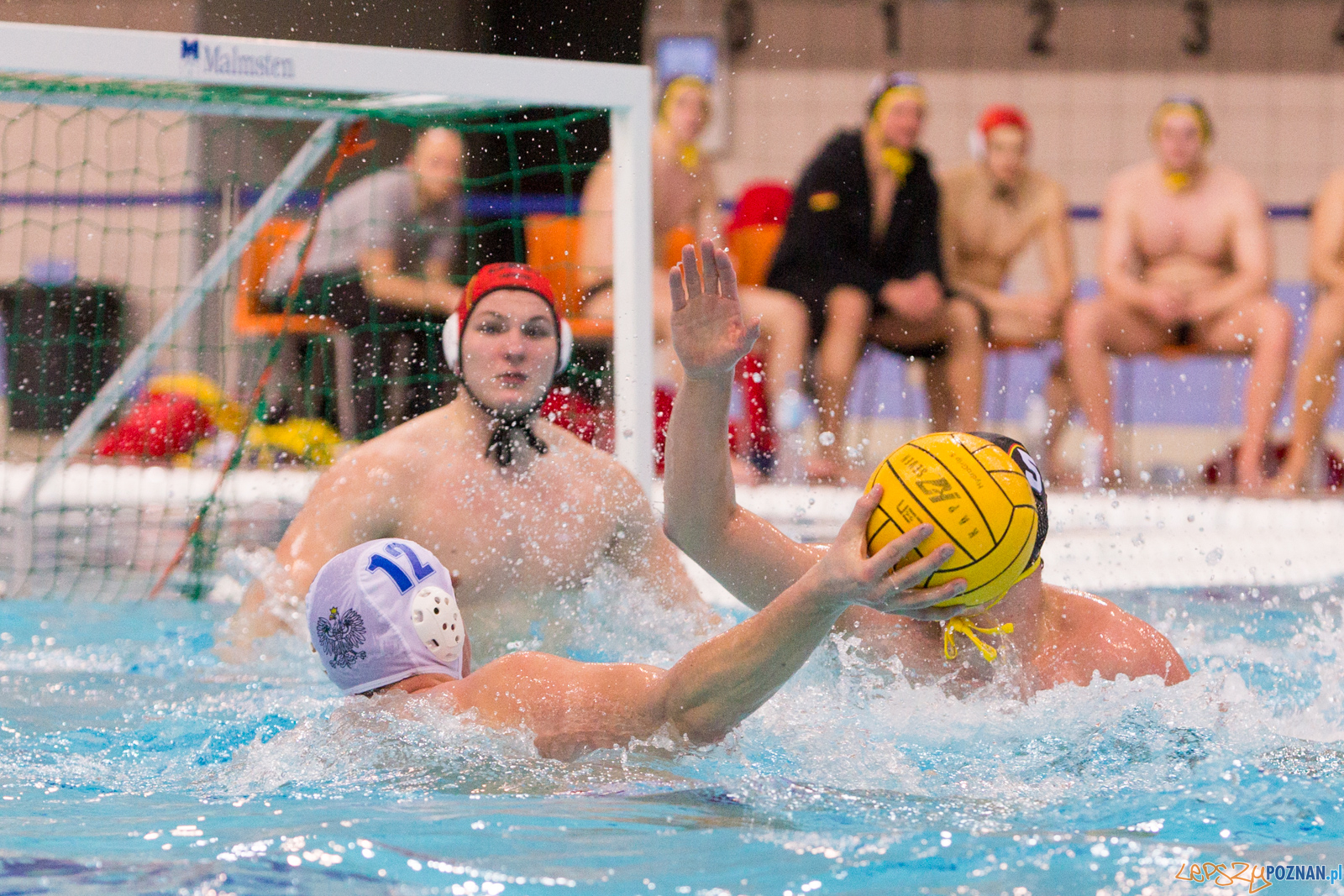 Mecz Polska - Niemcy - Eliminacje Mistrzostw Europy Foto: lepszyPOZNAN.pl/Piotr Rychter Mecz Polska - Niemcy - Eliminacje Mistrzostw Europy Foto: lepszyPOZNAN.pl/Piotr Rychter