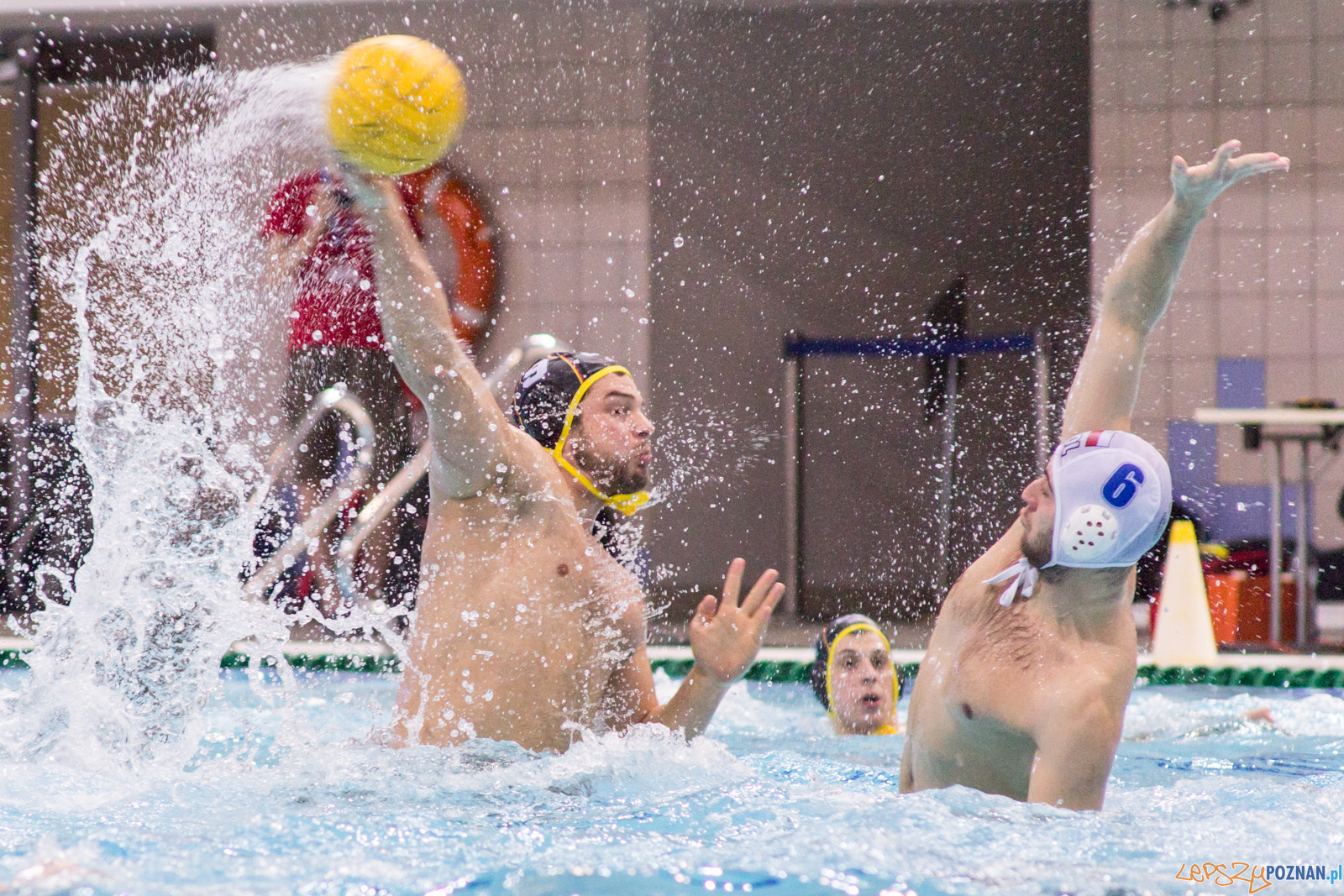 Mecz Polska - Niemcy - Eliminacje Mistrzostw Europy Foto: lepszyPOZNAN.pl / Ewelina Jaskowiak Mecz Polska - Niemcy - Eliminacje Mistrzostw Europy Foto: lepszyPOZNAN.pl / Ewelina Jaskowiak