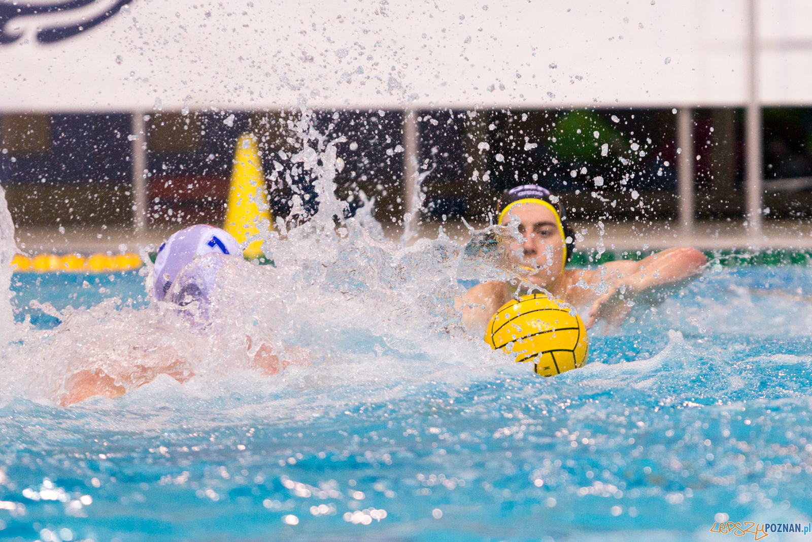 Mecz Polska - Niemcy - Eliminacje Mistrzostw Europy Foto: lepszyPOZNAN.pl/Piotr Rychter Mecz Polska - Niemcy - Eliminacje Mistrzostw Europy Foto: lepszyPOZNAN.pl/Piotr Rychter