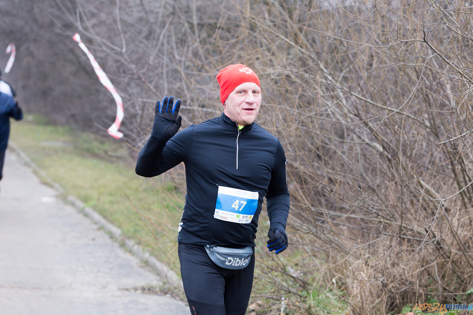VIII Wildecka Dziesiątka Foto: lepszyPOZNAN.pl/Piotr Rychter VIII Wildecka Dziesiątka Foto: lepszyPOZNAN.pl/Piotr Rychter