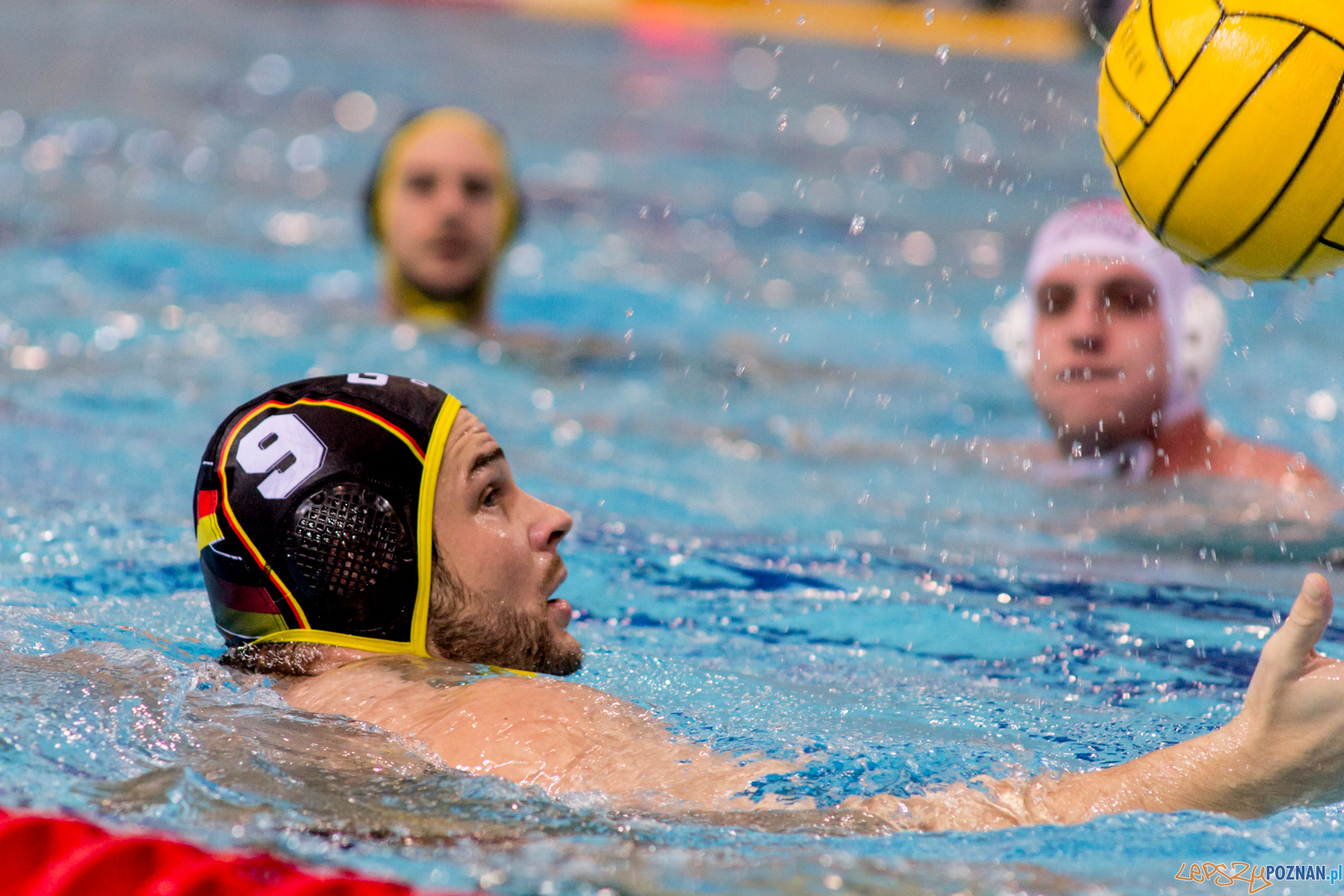 Mecz Polska - Niemcy - Eliminacje Mistrzostw Europy Foto: lepszyPOZNAN.pl / Ewelina Jaskowiak Mecz Polska - Niemcy - Eliminacje Mistrzostw Europy Foto: lepszyPOZNAN.pl / Ewelina Jaskowiak