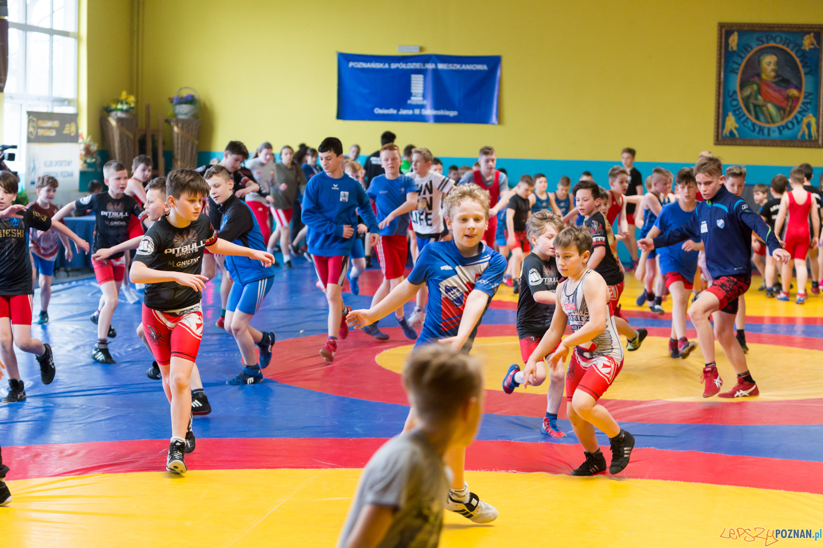 Zapaśniczy Turniej Wielkanocny w KS Sobieski Foto: lepszyPOZNAN.pl/Piotr Rychter Zapaśniczy Turniej Wielkanocny w KS Sobieski Foto: lepszyPOZNAN.pl/Piotr Rychter