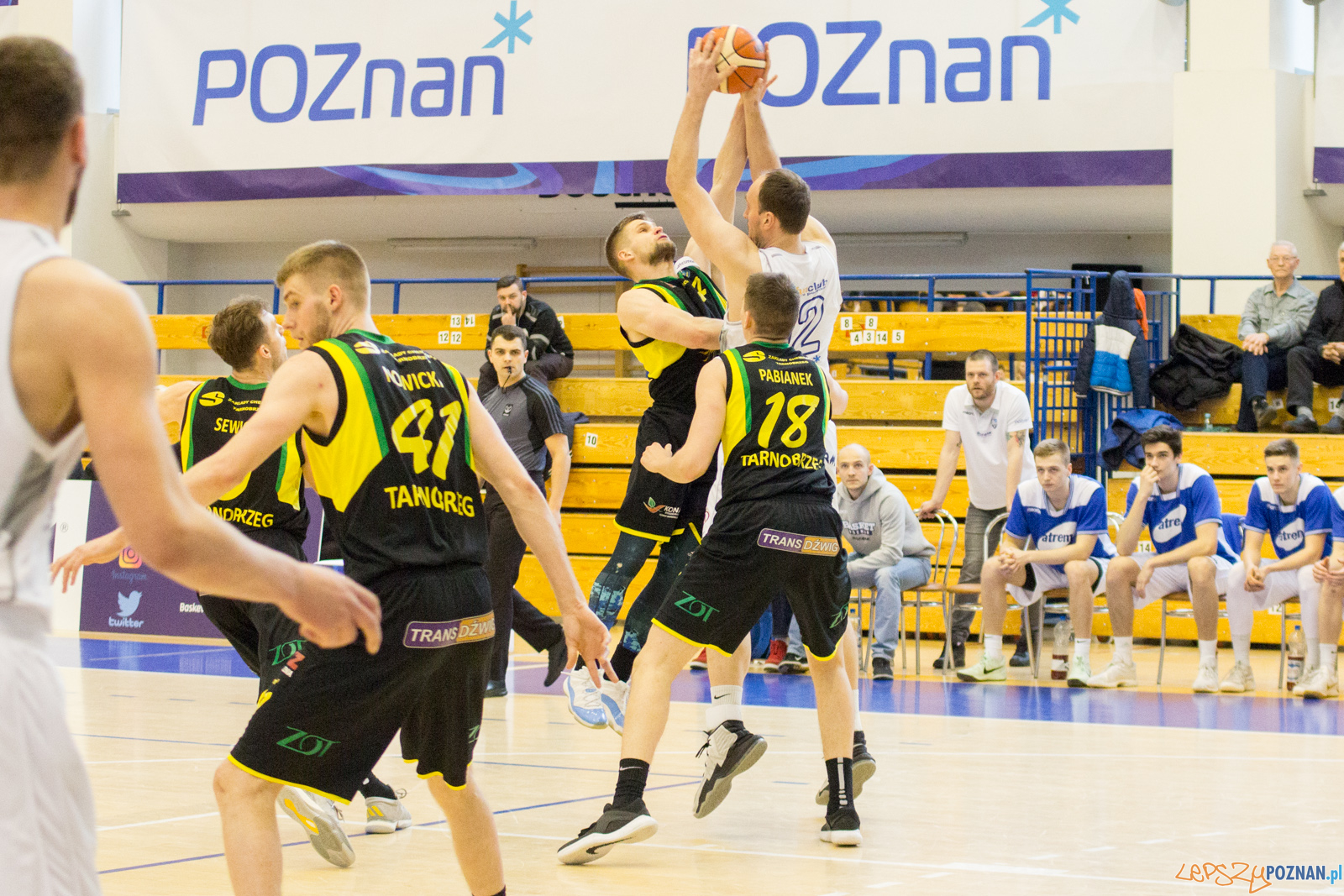 Biofarm Basket Poznań - Siarka Tarnobrzeg Foto: lepszyPOZNAN.pl / Ewelina Jaśkowiak Biofarm Basket Poznań - Siarka Tarnobrzeg Foto: lepszyPOZNAN.pl / Ewelina Jaśkowiak