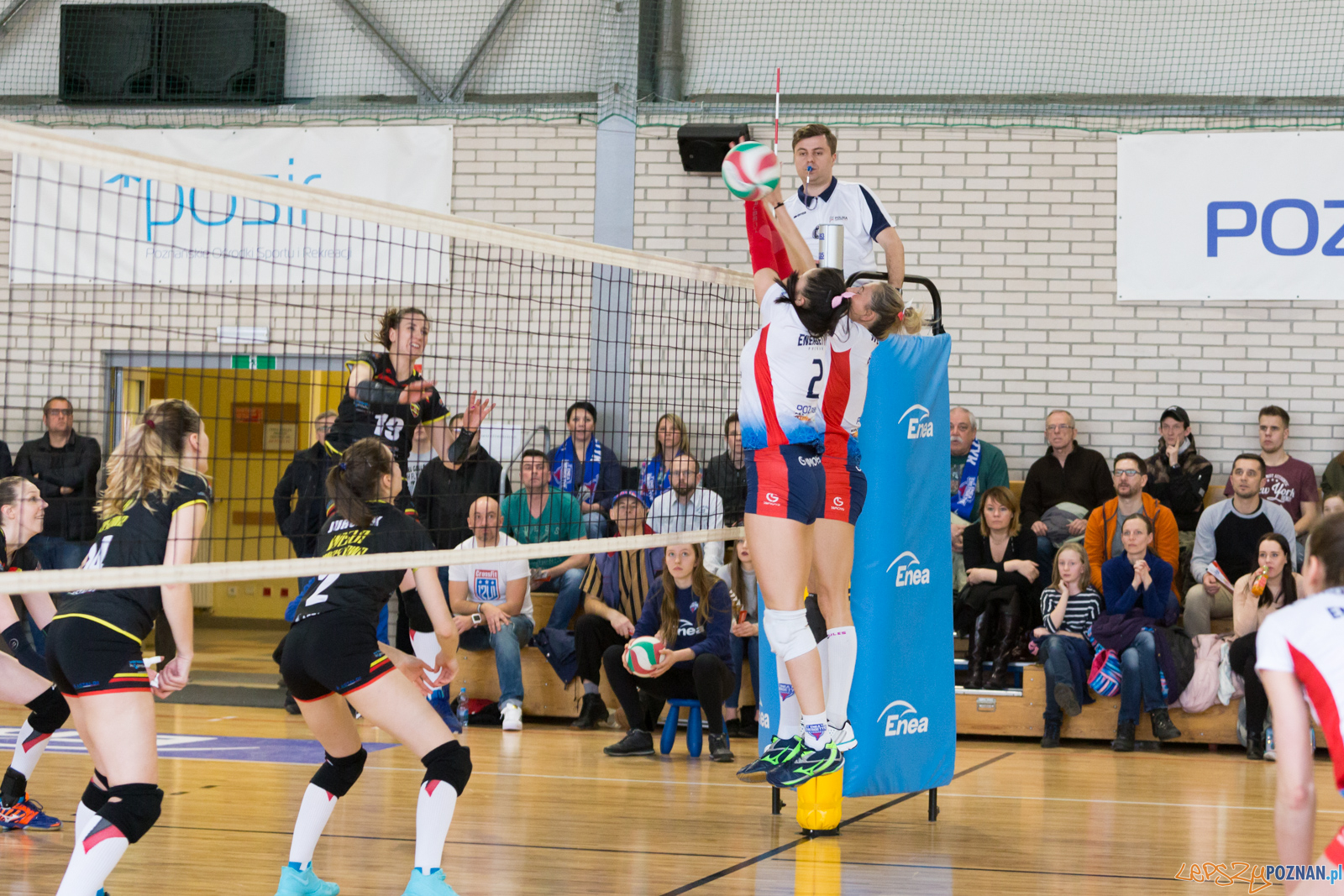 Enea Energetyk Poznań - Wisła Warszawa Foto: lepszyPOZNAN.pl/Piotr Rychter Enea Energetyk Poznań - Wisła Warszawa Foto: lepszyPOZNAN.pl/Piotr Rychter