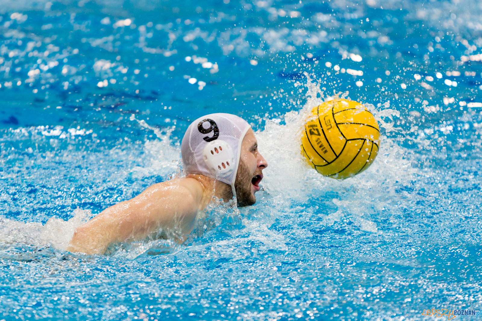 lepszy-24_03_2018_waterpolo_legia-1141 Foto: lepszyPOZNAN.pl/Piotr Rychter lepszy-24_03_2018_waterpolo_legia-1141 Foto: lepszyPOZNAN.pl/Piotr Rychter