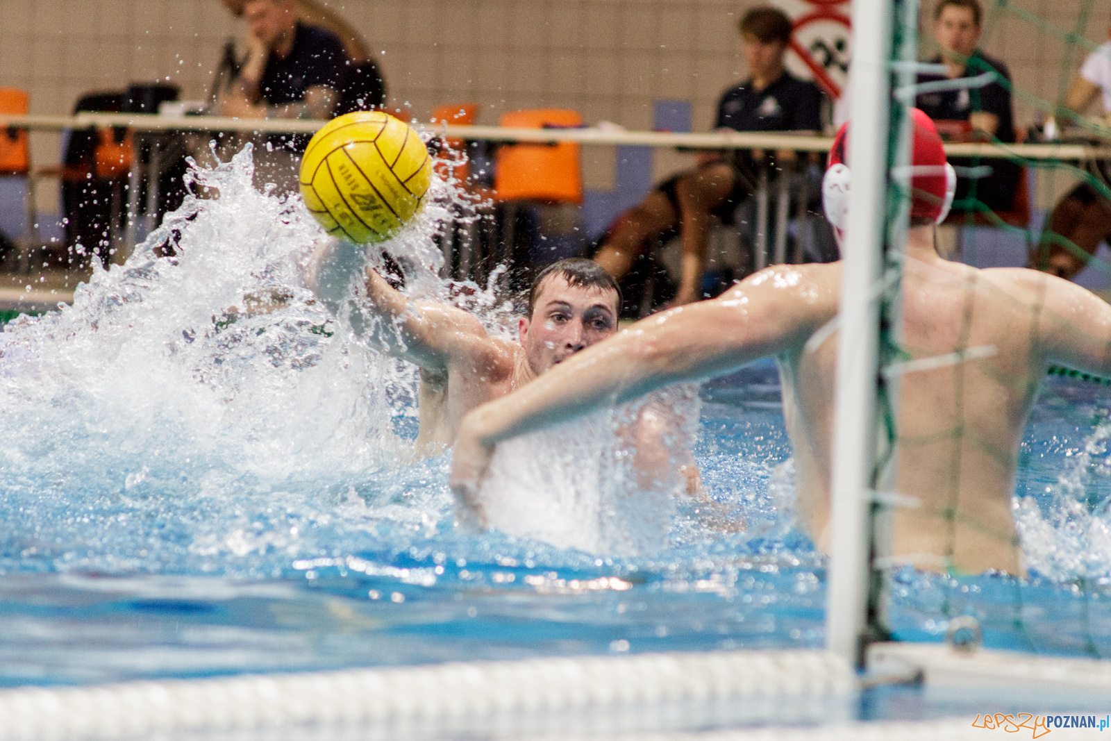 KS Waterpolo Poznań - Legia Warszawa Foto: lepszyPOZNAN.pl / Ewelina Jaśkowiak KS Waterpolo Poznań - Legia Warszawa Foto: lepszyPOZNAN.pl / Ewelina Jaśkowiak