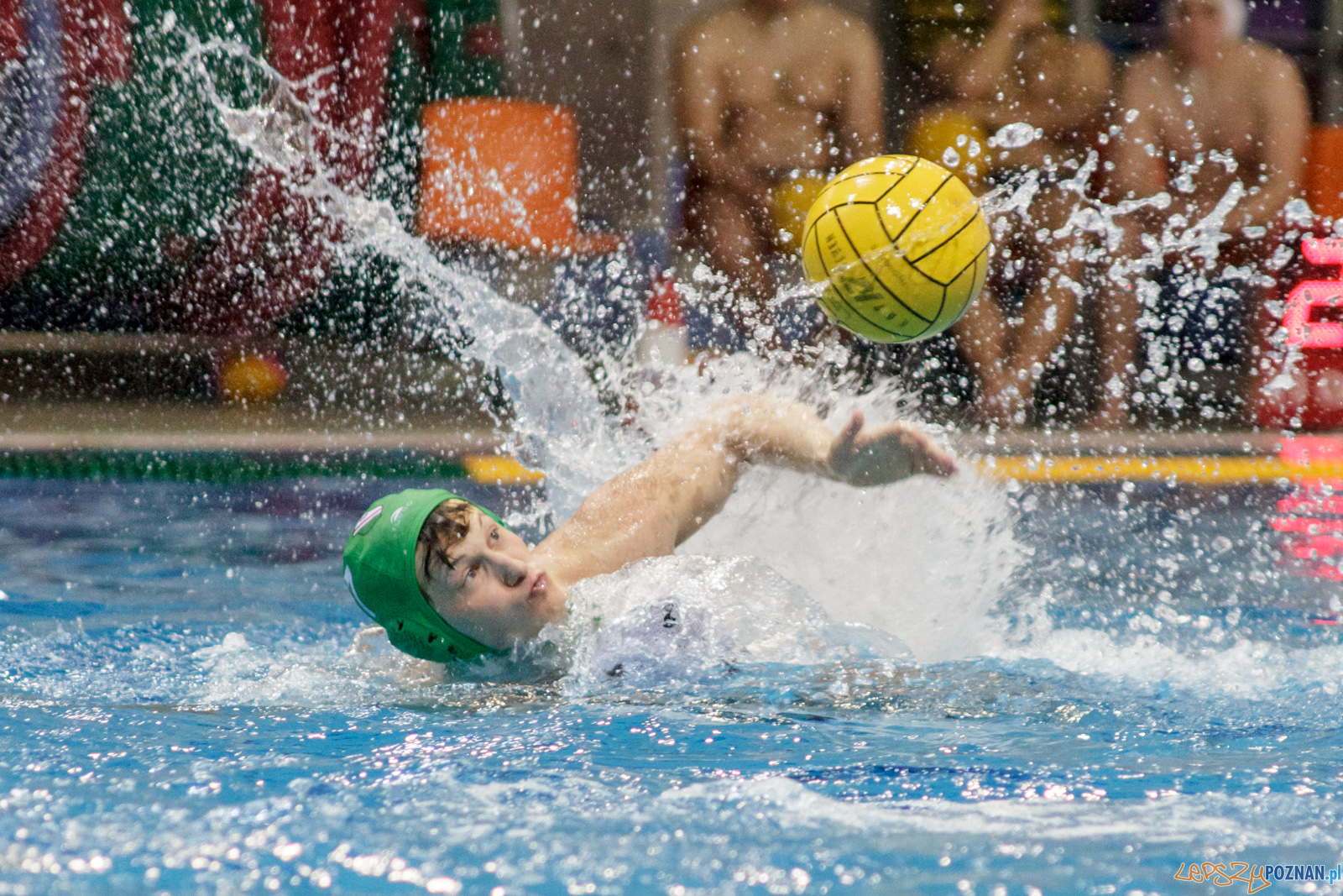 KS Waterpolo Poznań - Legia Warszawa Foto: lepszyPOZNAN.pl / Ewelina Jaśkowiak KS Waterpolo Poznań - Legia Warszawa Foto: lepszyPOZNAN.pl / Ewelina Jaśkowiak