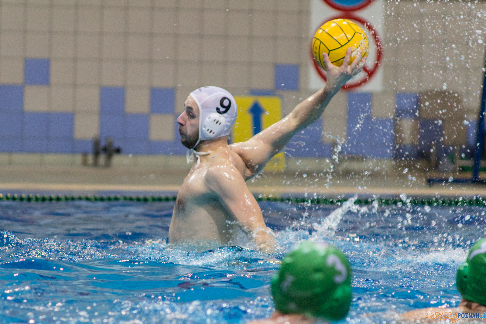KS Waterpolo Poznań - Legia Warszawa Foto: lepszyPOZNAN.pl / Ewelina Jaśkowiak KS Waterpolo Poznań - Legia Warszawa Foto: lepszyPOZNAN.pl / Ewelina Jaśkowiak