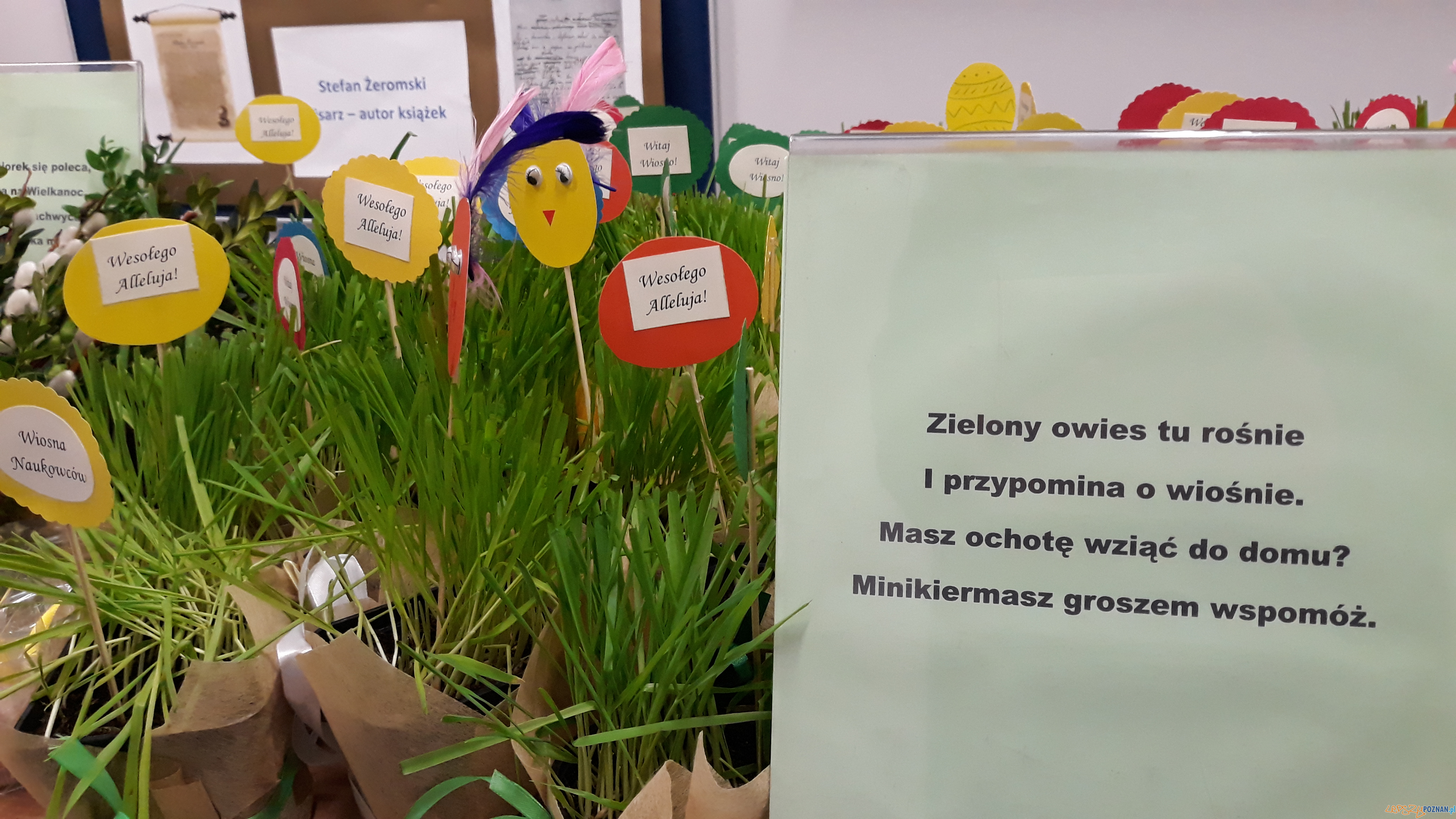 Szkolna noc naukowców Foto: lepszyPOZNAN.pl / gsm Szkolna noc naukowców Foto: lepszyPOZNAN.pl / gsm