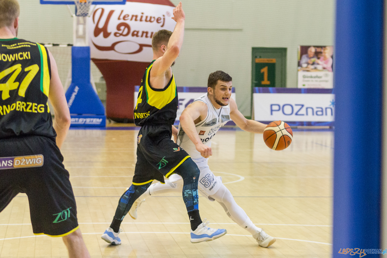 Biofarm Basket Poznań - Siarka Tarnobrzeg Foto: lepszyPOZNAN.pl / Ewelina Jaśkowiak Biofarm Basket Poznań - Siarka Tarnobrzeg Foto: lepszyPOZNAN.pl / Ewelina Jaśkowiak