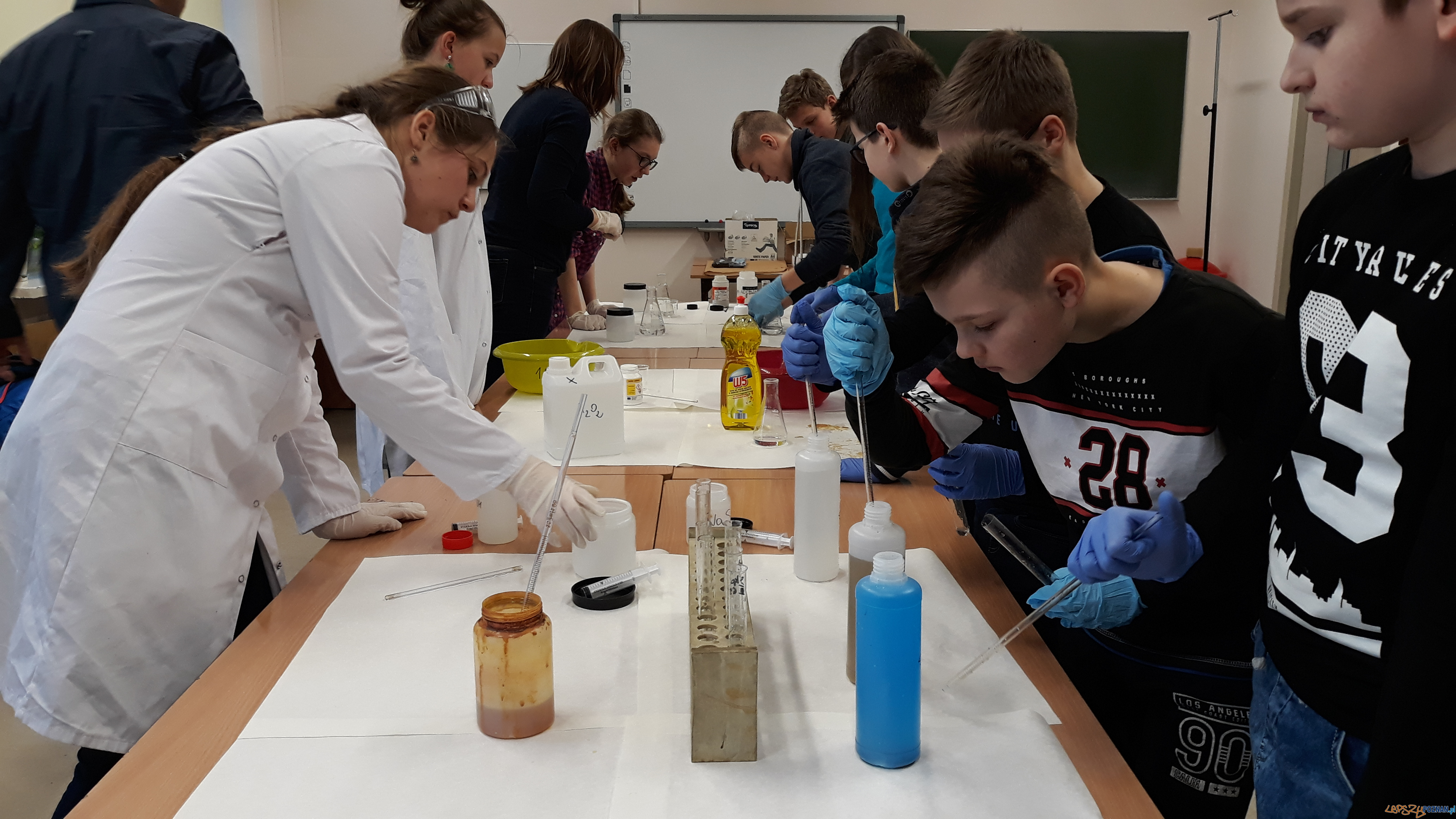 Szkolna noc naukowców Foto: lepszyPOZNAN.pl / gsm Szkolna noc naukowców Foto: lepszyPOZNAN.pl / gsm