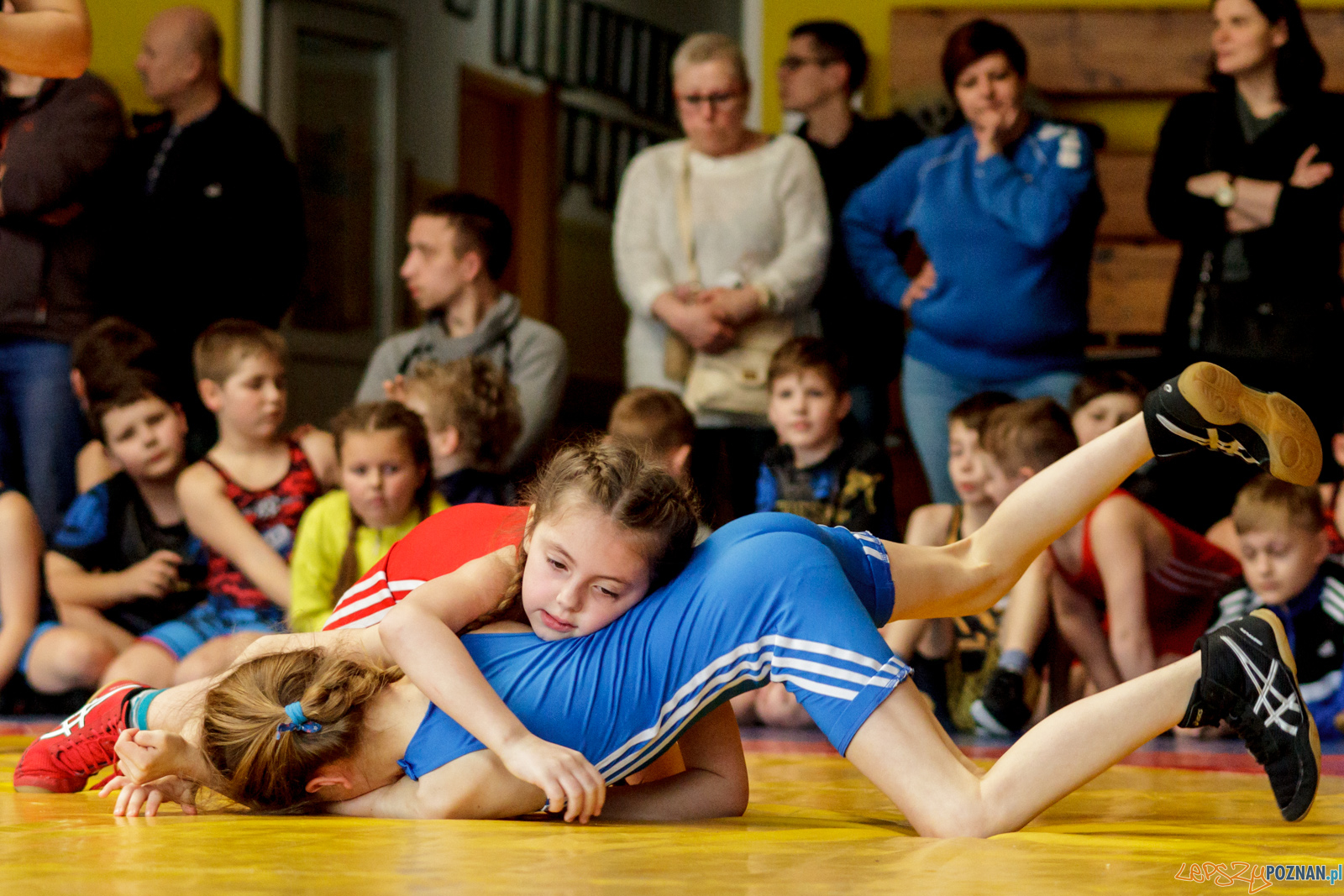 Zapaśniczy Turniej Wielkanocny Foto: lepszyPOZNAN.pl / Ewelina Jaśkowiak Zapaśniczy Turniej Wielkanocny Foto: lepszyPOZNAN.pl / Ewelina Jaśkowiak