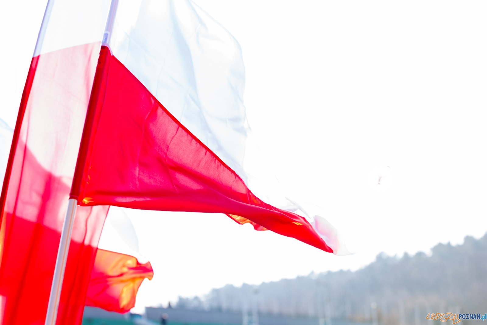 Bieg Tropem Wilczym Foto: lepszyPOZNAN.pl/Piotr Rychter Bieg Tropem Wilczym Foto: lepszyPOZNAN.pl/Piotr Rychter