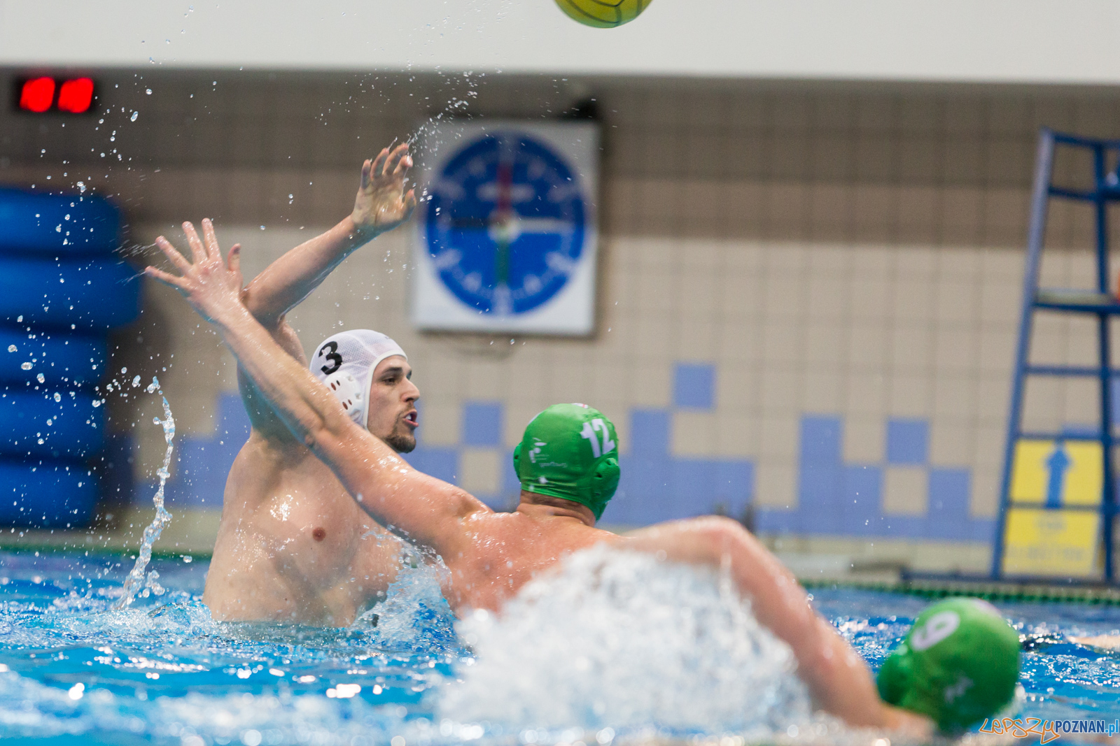 lepszy-24_03_2018_waterpolo_legia-1019 Foto: lepszyPOZNAN.pl/Piotr Rychter lepszy-24_03_2018_waterpolo_legia-1019 Foto: lepszyPOZNAN.pl/Piotr Rychter