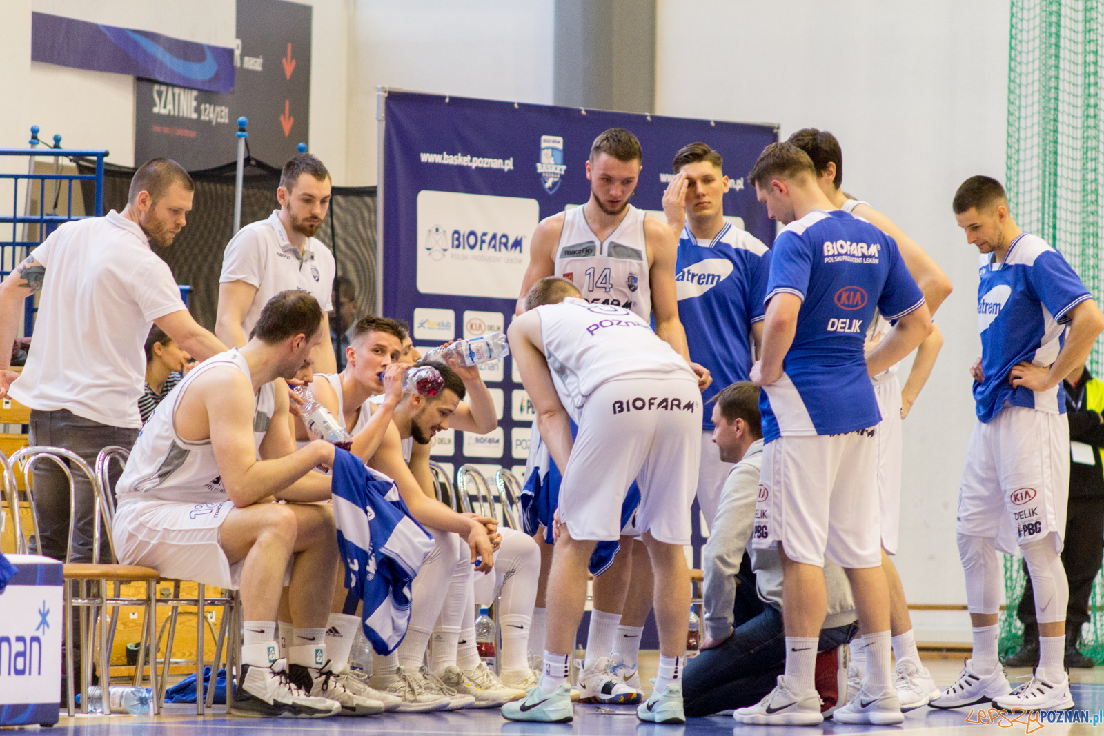 Biofarm Basket Poznań - Siarka Tarnobrzeg Foto: lepszyPOZNAN.pl / Ewelina Jaśkowiak Biofarm Basket Poznań - Siarka Tarnobrzeg Foto: lepszyPOZNAN.pl / Ewelina Jaśkowiak