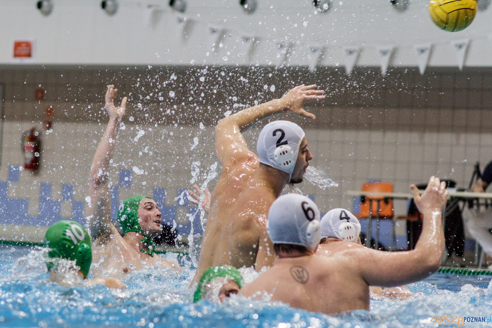 KS Waterpolo Poznań - Legia Warszawa Foto: lepszyPOZNAN.pl / Ewelina Jaśkowiak KS Waterpolo Poznań - Legia Warszawa Foto: lepszyPOZNAN.pl / Ewelina Jaśkowiak