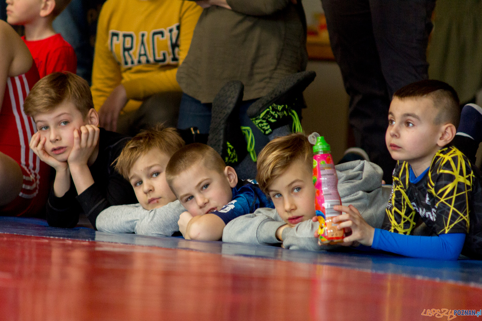 Zapaśniczy Turniej Wielkanocny Foto: lepszyPOZNAN.pl / Ewelina Jaśkowiak Zapaśniczy Turniej Wielkanocny Foto: lepszyPOZNAN.pl / Ewelina Jaśkowiak