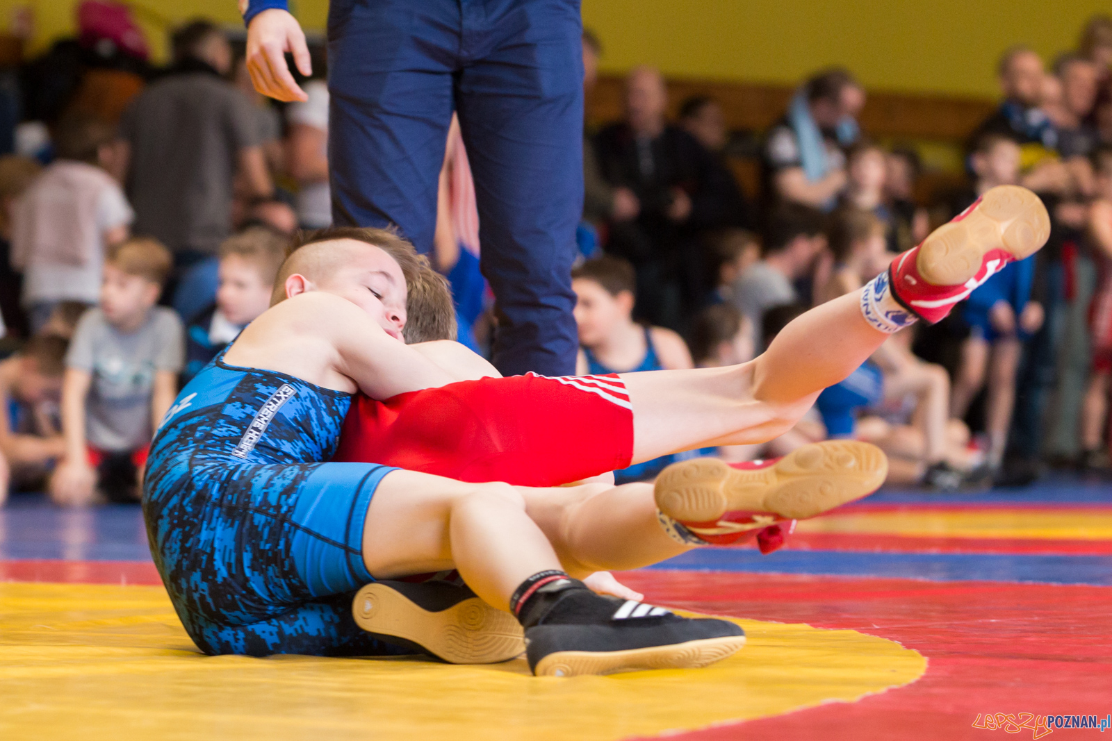 Zapaśniczy Turniej Wielkanocny w KS Sobieski Foto: lepszyPOZNAN.pl/Piotr Rychter Zapaśniczy Turniej Wielkanocny w KS Sobieski Foto: lepszyPOZNAN.pl/Piotr Rychter