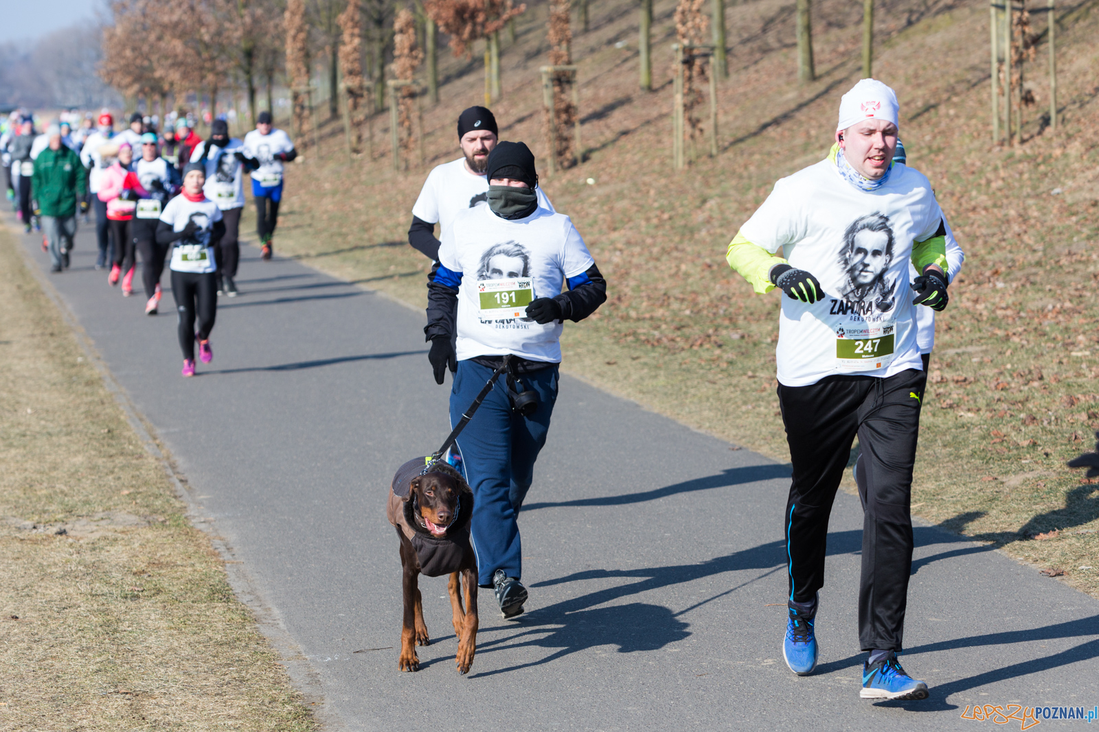 Bieg Tropem Wilczym Foto: lepszyPOZNAN.pl/Piotr Rychter Bieg Tropem Wilczym Foto: lepszyPOZNAN.pl/Piotr Rychter
