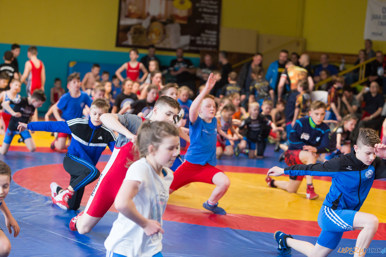 Zapaśniczy Turniej Wielkanocny w KS Sobieski Foto: lepszyPOZNAN.pl/Piotr Rychter Zapaśniczy Turniej Wielkanocny w KS Sobieski Foto: lepszyPOZNAN.pl/Piotr Rychter