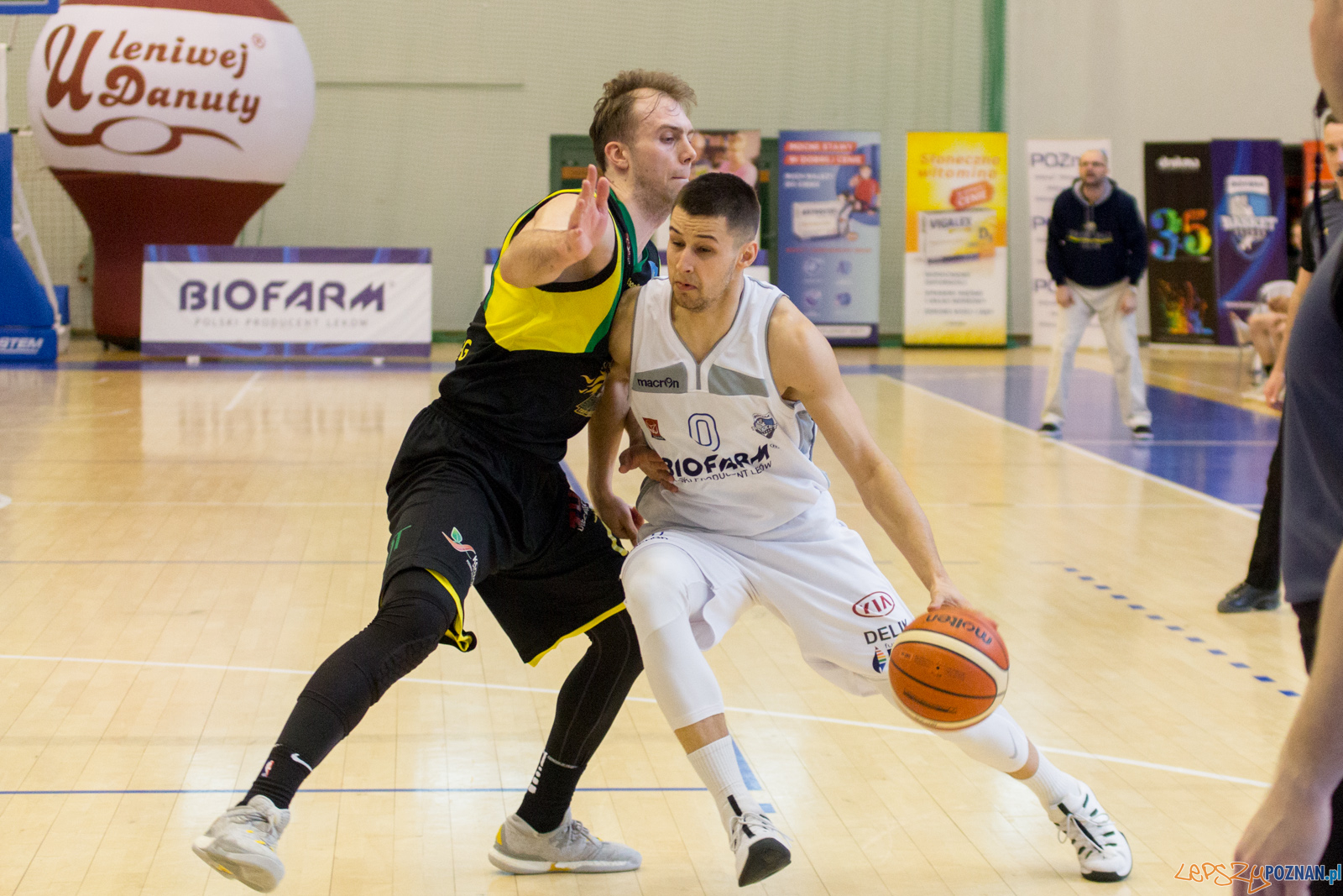 Biofarm Basket Poznań - Siarka Tarnobrzeg Foto: lepszyPOZNAN.pl / Ewelina Jaśkowiak Biofarm Basket Poznań - Siarka Tarnobrzeg Foto: lepszyPOZNAN.pl / Ewelina Jaśkowiak
