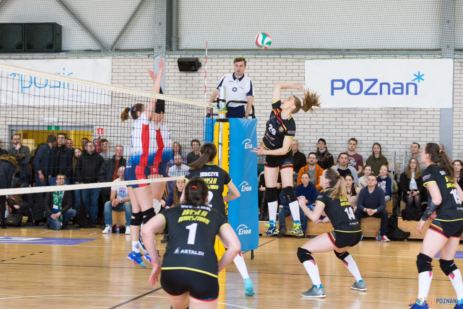 Enea Energetyk Poznań - Wisła Warszawa Foto: lepszyPOZNAN.pl/Piotr Rychter Enea Energetyk Poznań - Wisła Warszawa Foto: lepszyPOZNAN.pl/Piotr Rychter