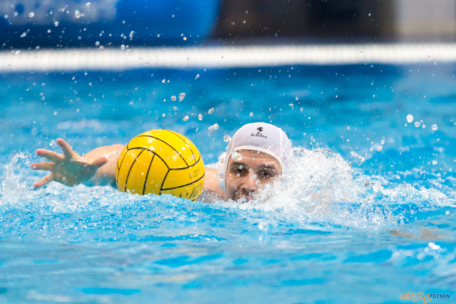 lepszy-24_03_2018_waterpolo_legia-1049 Foto: lepszyPOZNAN.pl/Piotr Rychter lepszy-24_03_2018_waterpolo_legia-1049 Foto: lepszyPOZNAN.pl/Piotr Rychter