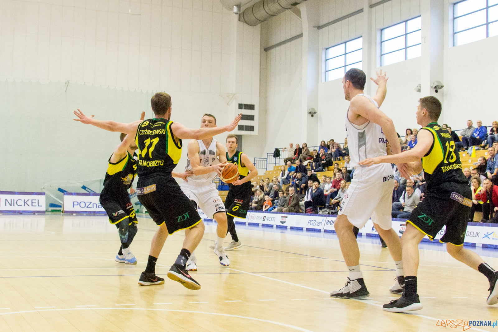 Biofarm Basket Poznań - Siarka Tarnobrzeg Foto: lepszyPOZNAN.pl / Ewelina Jaśkowiak Biofarm Basket Poznań - Siarka Tarnobrzeg Foto: lepszyPOZNAN.pl / Ewelina Jaśkowiak
