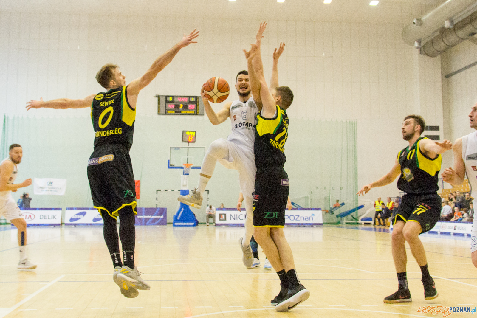 Biofarm Basket Poznań - Siarka Tarnobrzeg Foto: lepszyPOZNAN.pl / Ewelina Jaśkowiak Biofarm Basket Poznań - Siarka Tarnobrzeg Foto: lepszyPOZNAN.pl / Ewelina Jaśkowiak