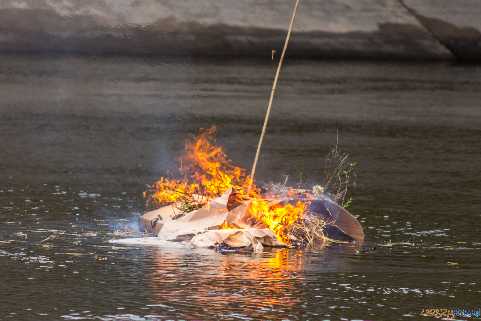 Pożegnanie zimy Foto: lepszyPOZNAN.pl / Ewelina Jaśkowiak Pożegnanie zimy Foto: lepszyPOZNAN.pl / Ewelina Jaśkowiak