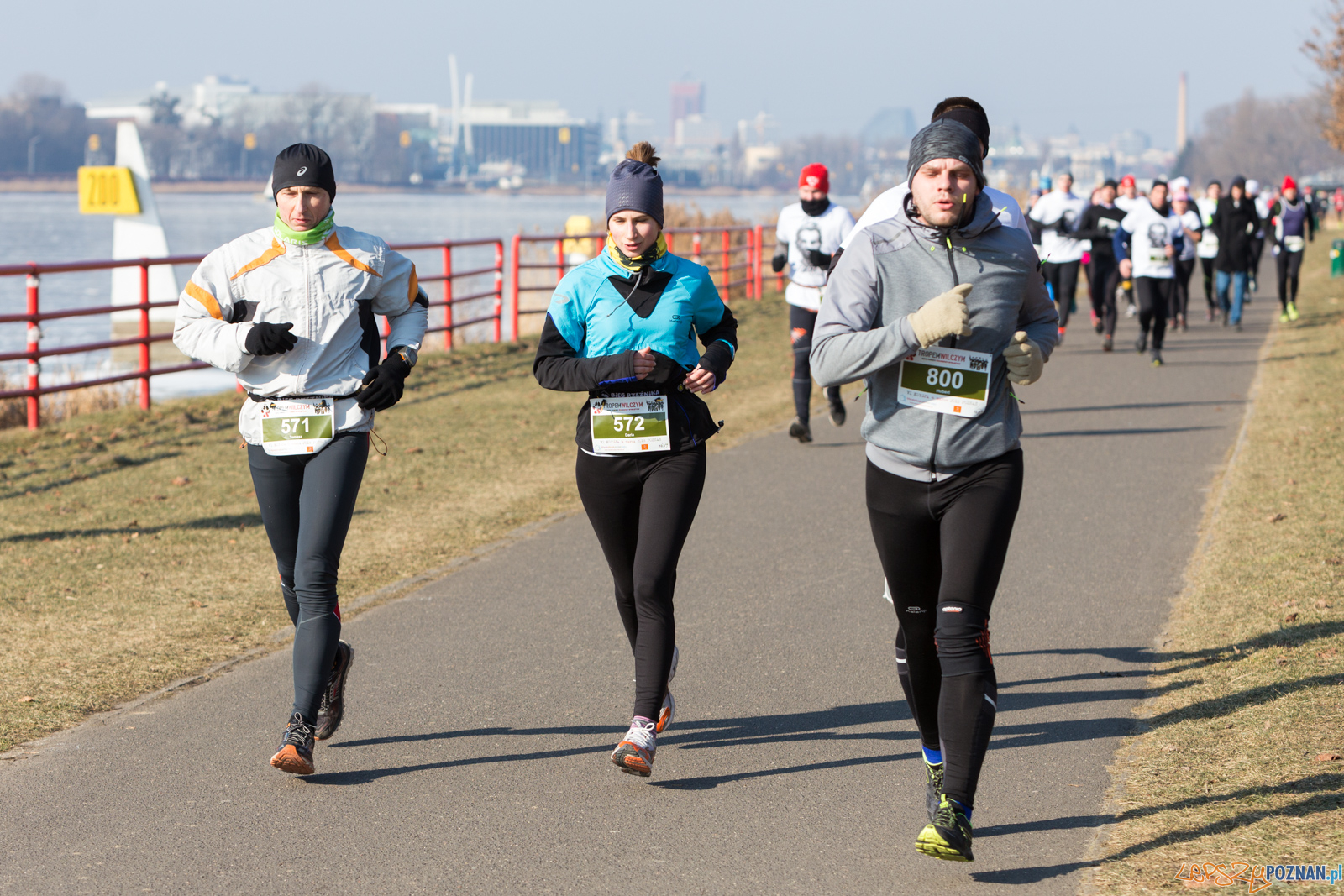 Bieg Tropem Wilczym Foto: lepszyPOZNAN.pl/Piotr Rychter Bieg Tropem Wilczym Foto: lepszyPOZNAN.pl/Piotr Rychter