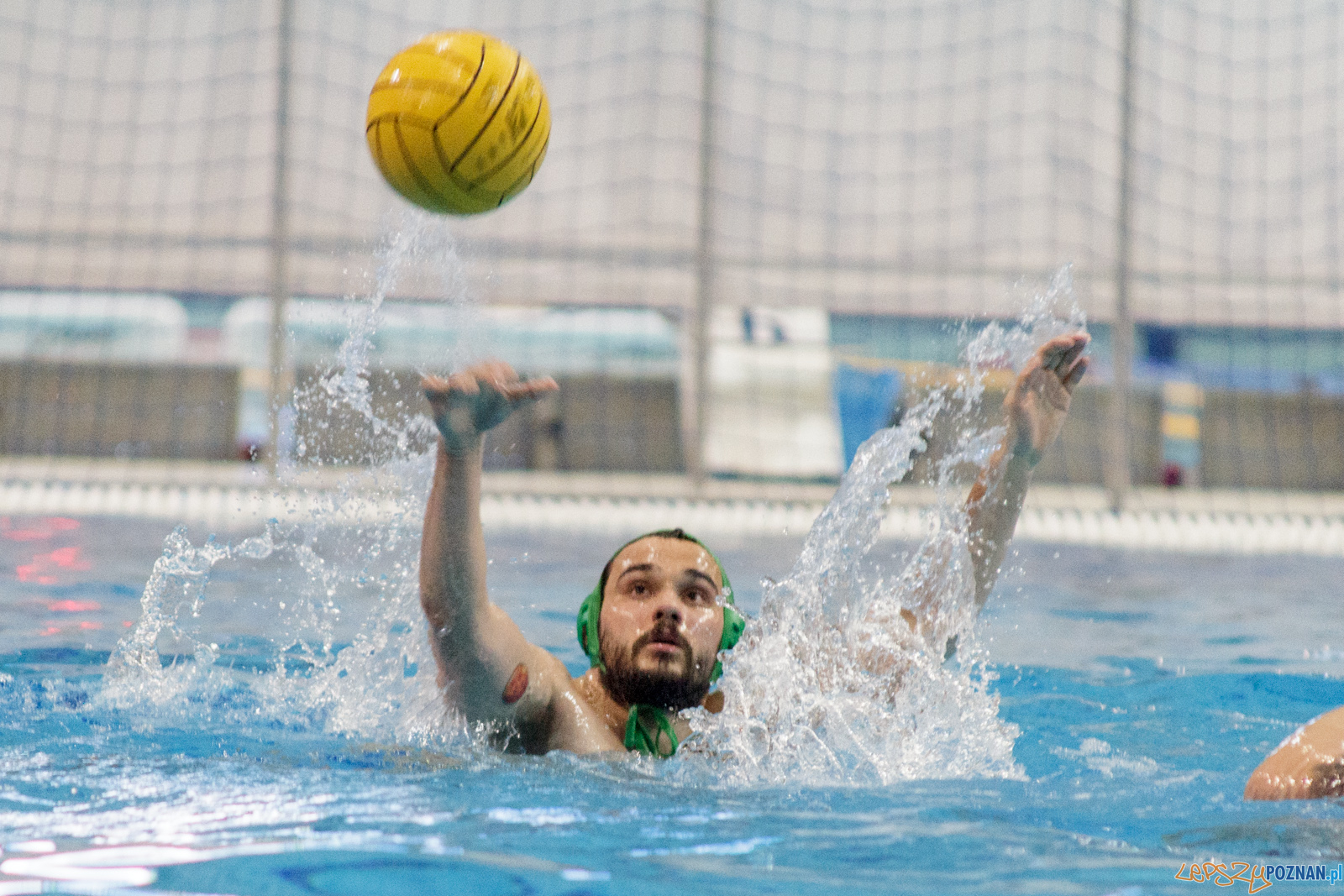 KS Waterpolo Poznań - Legia Warszawa Foto: lepszyPOZNAN.pl / Ewelina Jaśkowiak KS Waterpolo Poznań - Legia Warszawa Foto: lepszyPOZNAN.pl / Ewelina Jaśkowiak